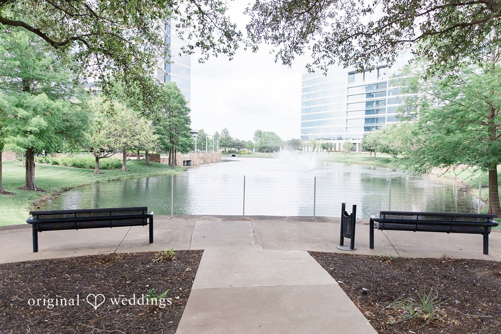 Justice of the Peace McKinney Wedding // Robert & Andrea -