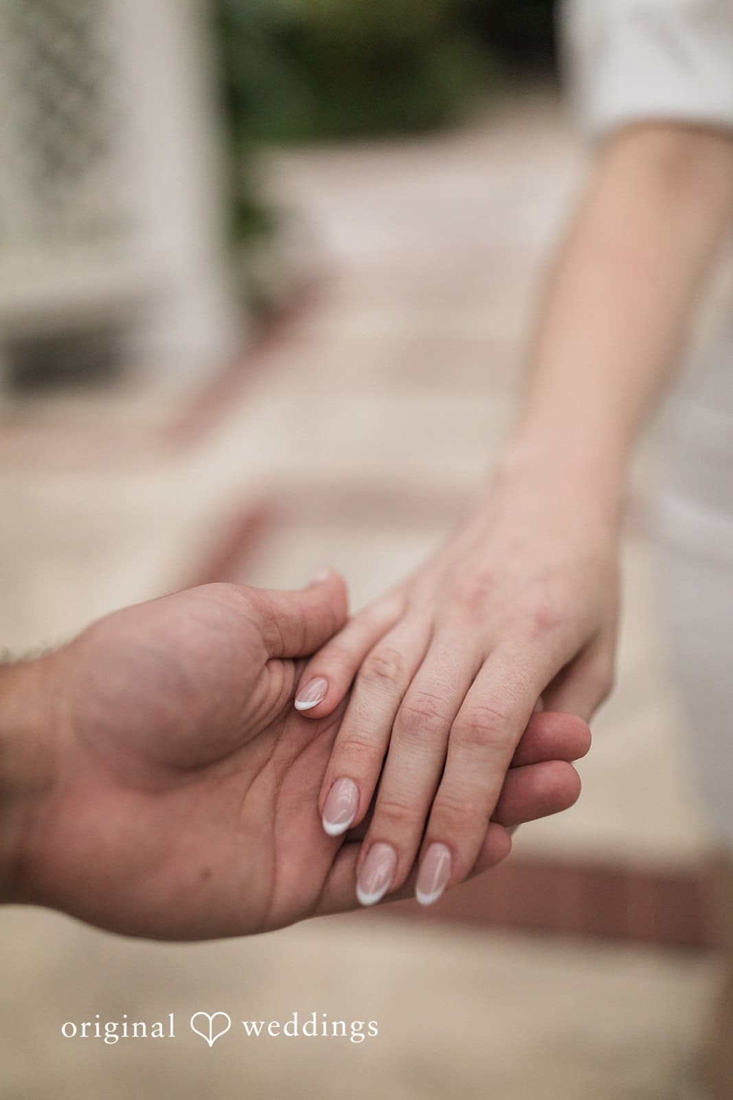 Leu Gardens Engagement // Elizabeth & Mark -