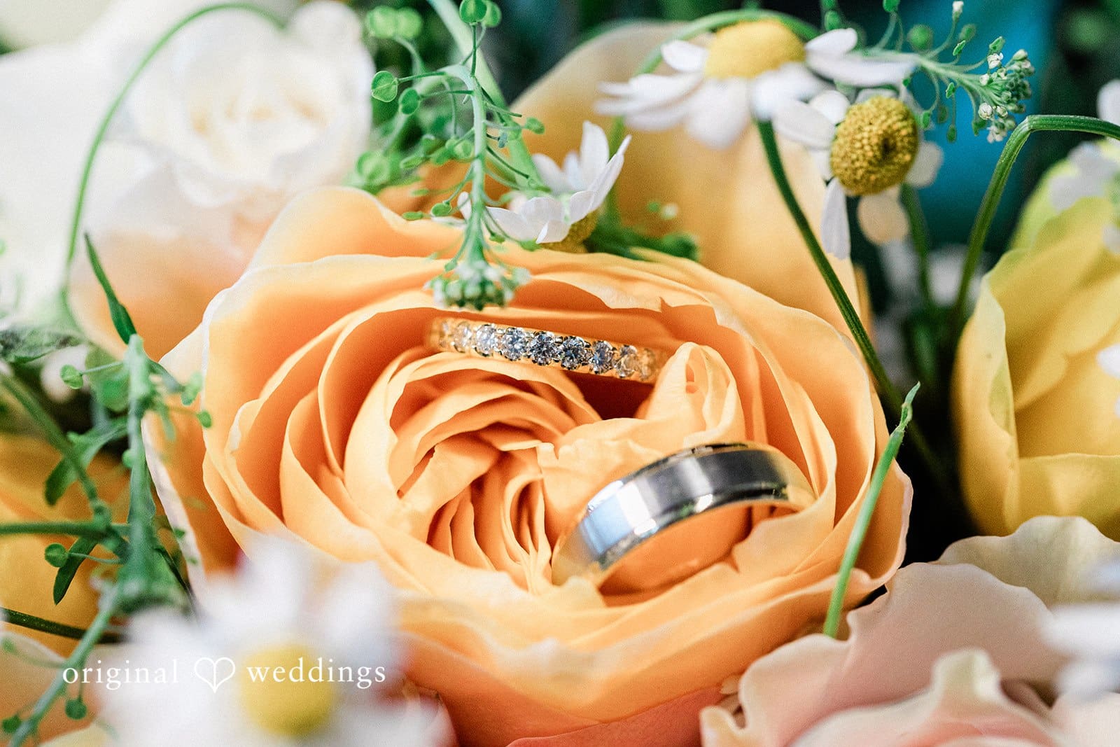 Longboat Key Wedding // Kelsey & Damon -