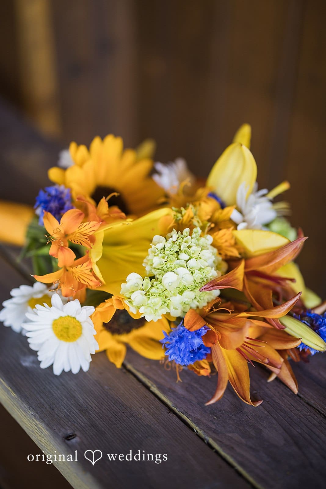 Lummi Island Wedding // Katie & Mark -