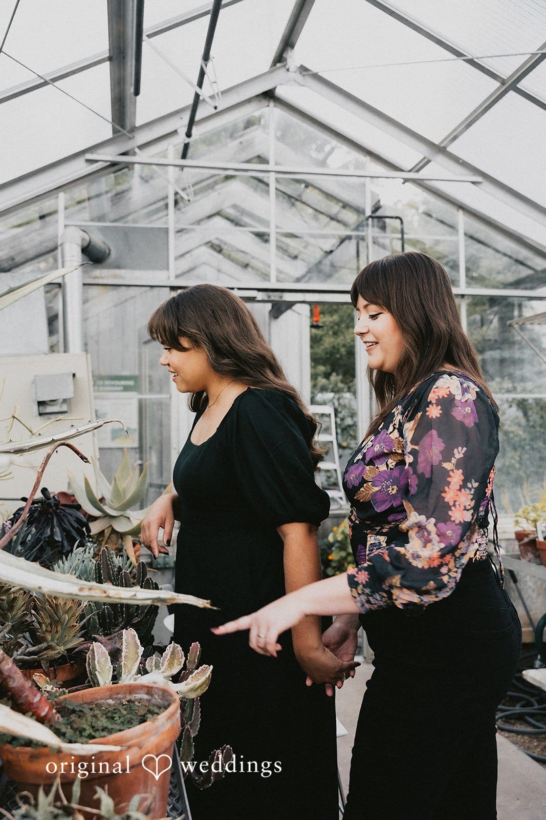 Minnesota Landscape Arboretum Engagement // Amanda & Stacia -