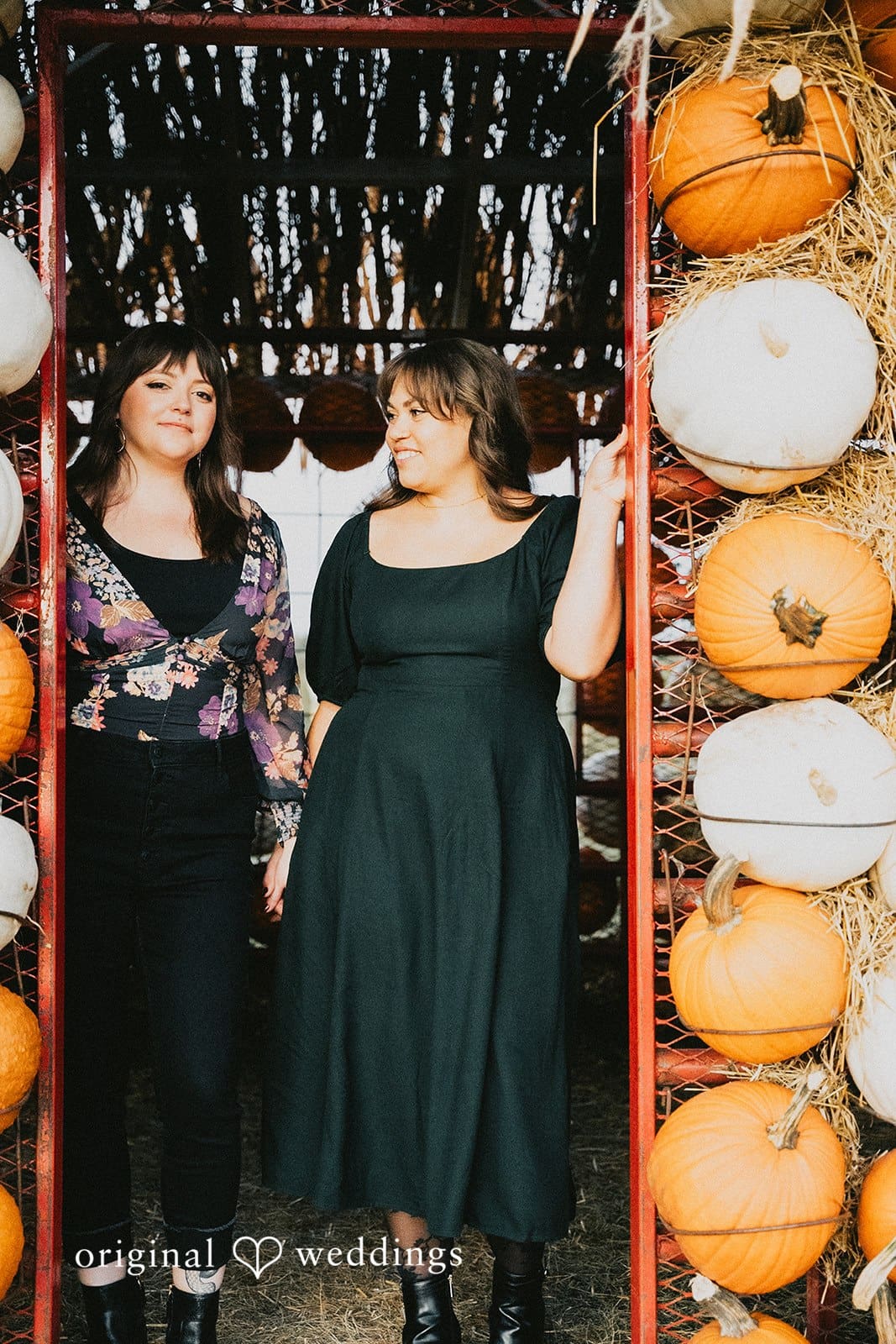 Minnesota Landscape Arboretum Engagement // Amanda & Stacia -