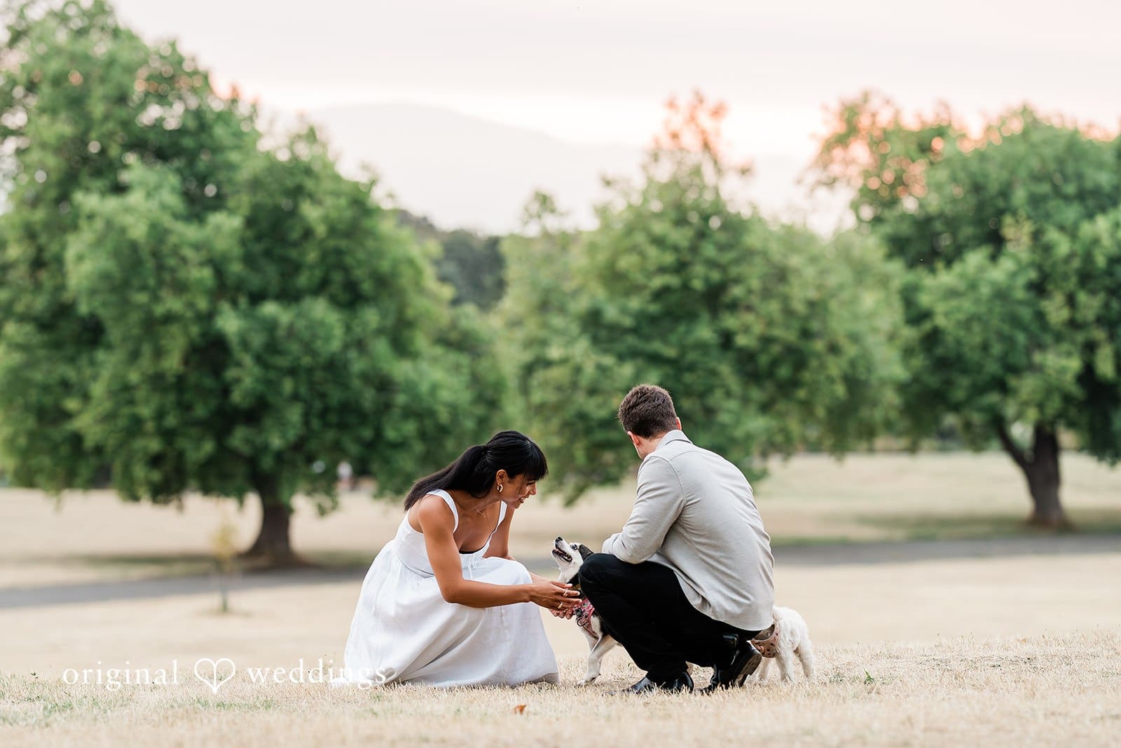 Miro Tea Engagement // Reigna & Tyler -