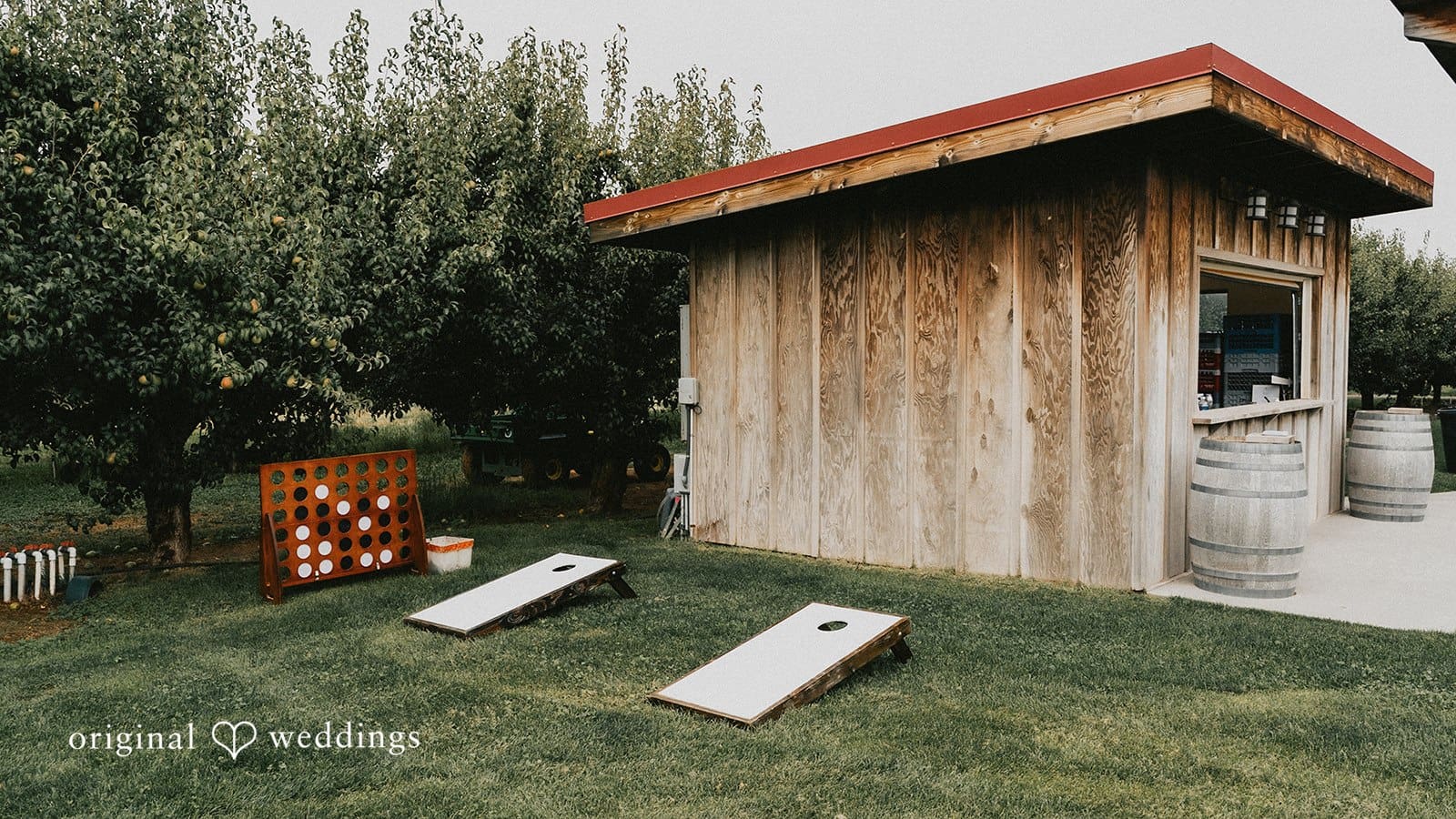 Mt. View Orchards Wedding // Sabrina & Branden -