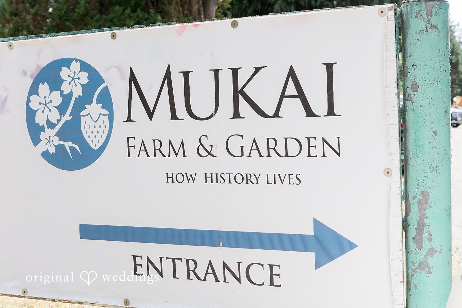Mukai Garden Wedding // Olin & Isabelle -