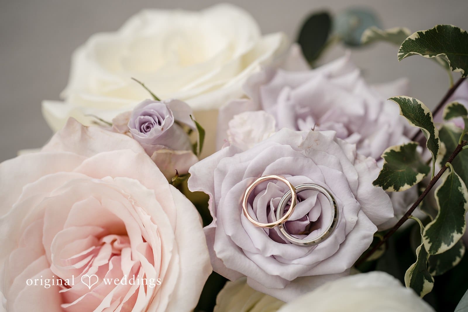 Novelty Hill Januik Winery Wedding // John & Ann -