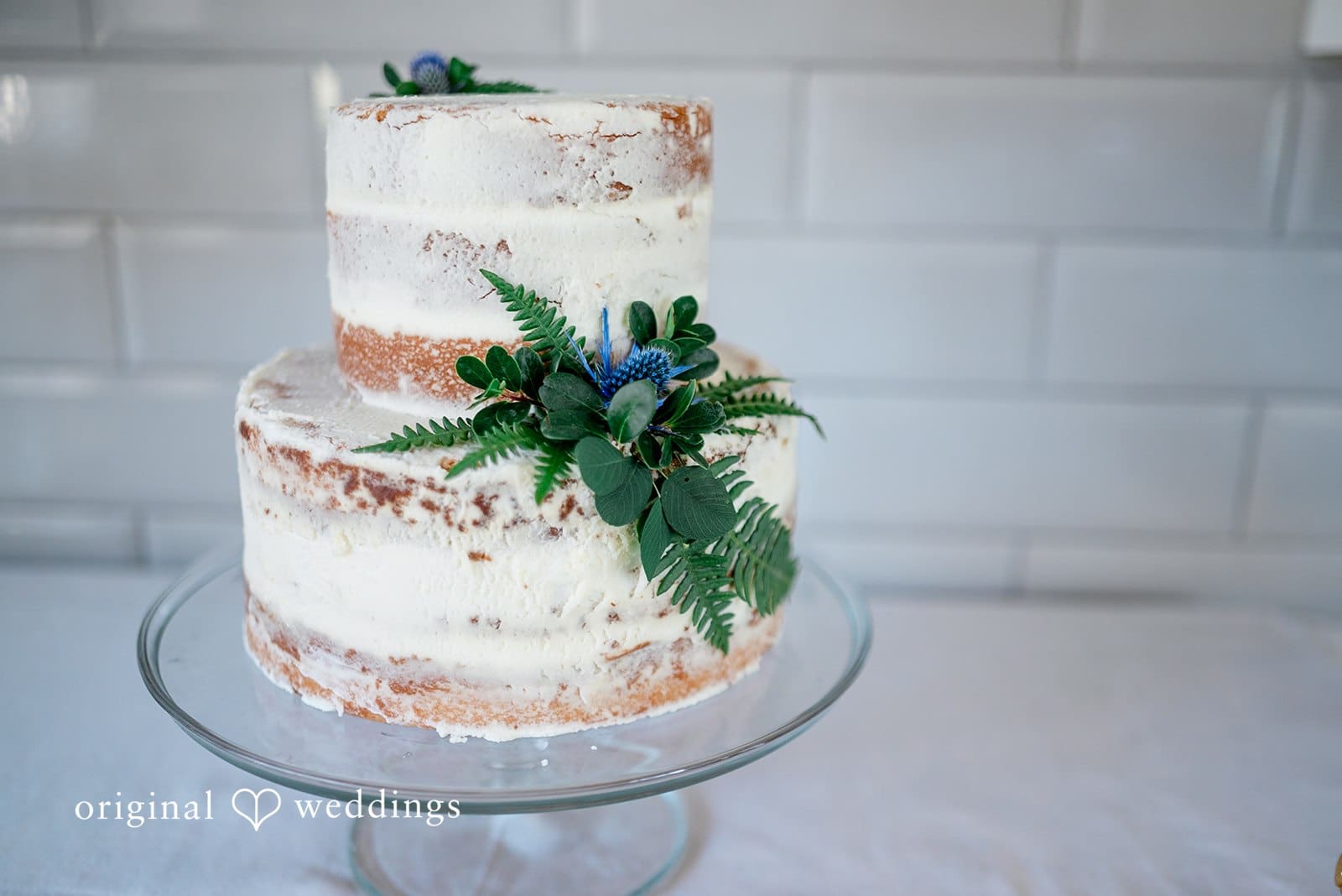 Oak Harbor Wedding // Haley & Eric -
