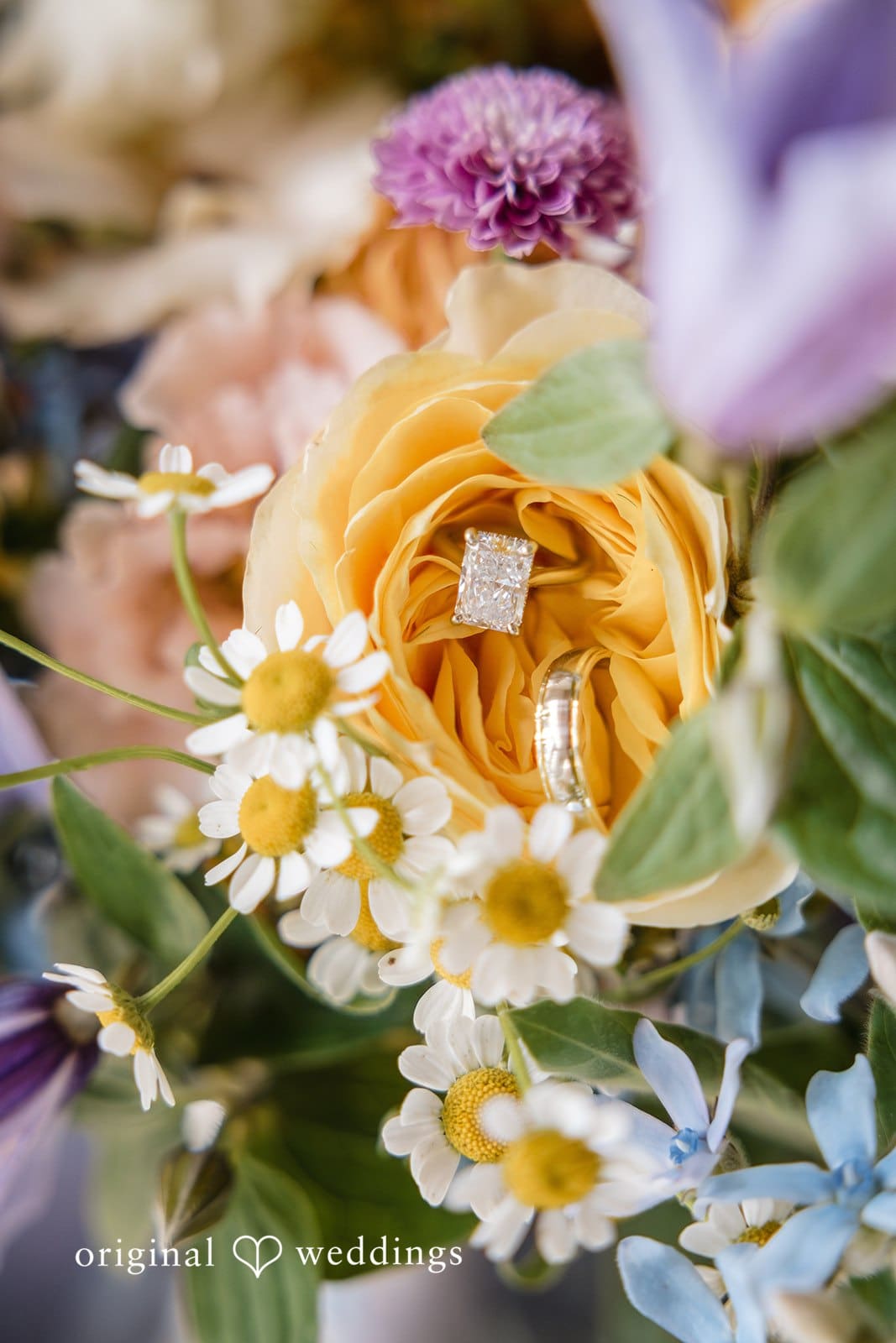 Oakwood Gardens and Alpaca Farm Wedding // Madelyn & Matthew -