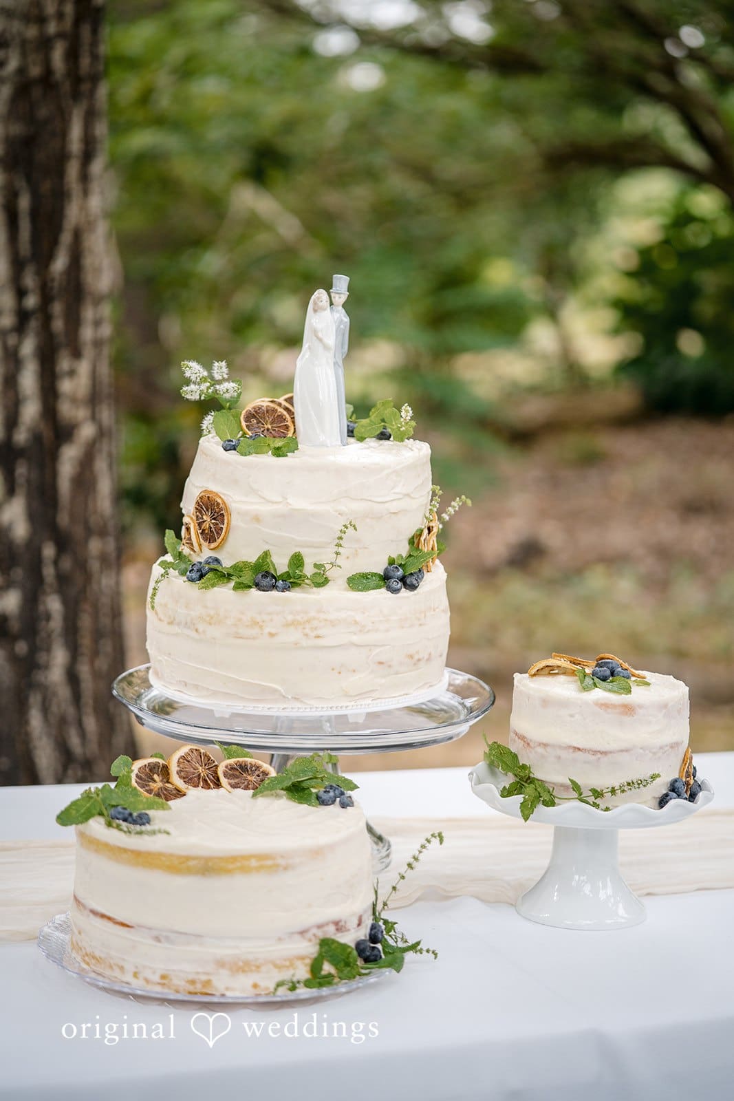 Oakwood Gardens and Alpaca Farm Wedding // Madelyn & Matthew -