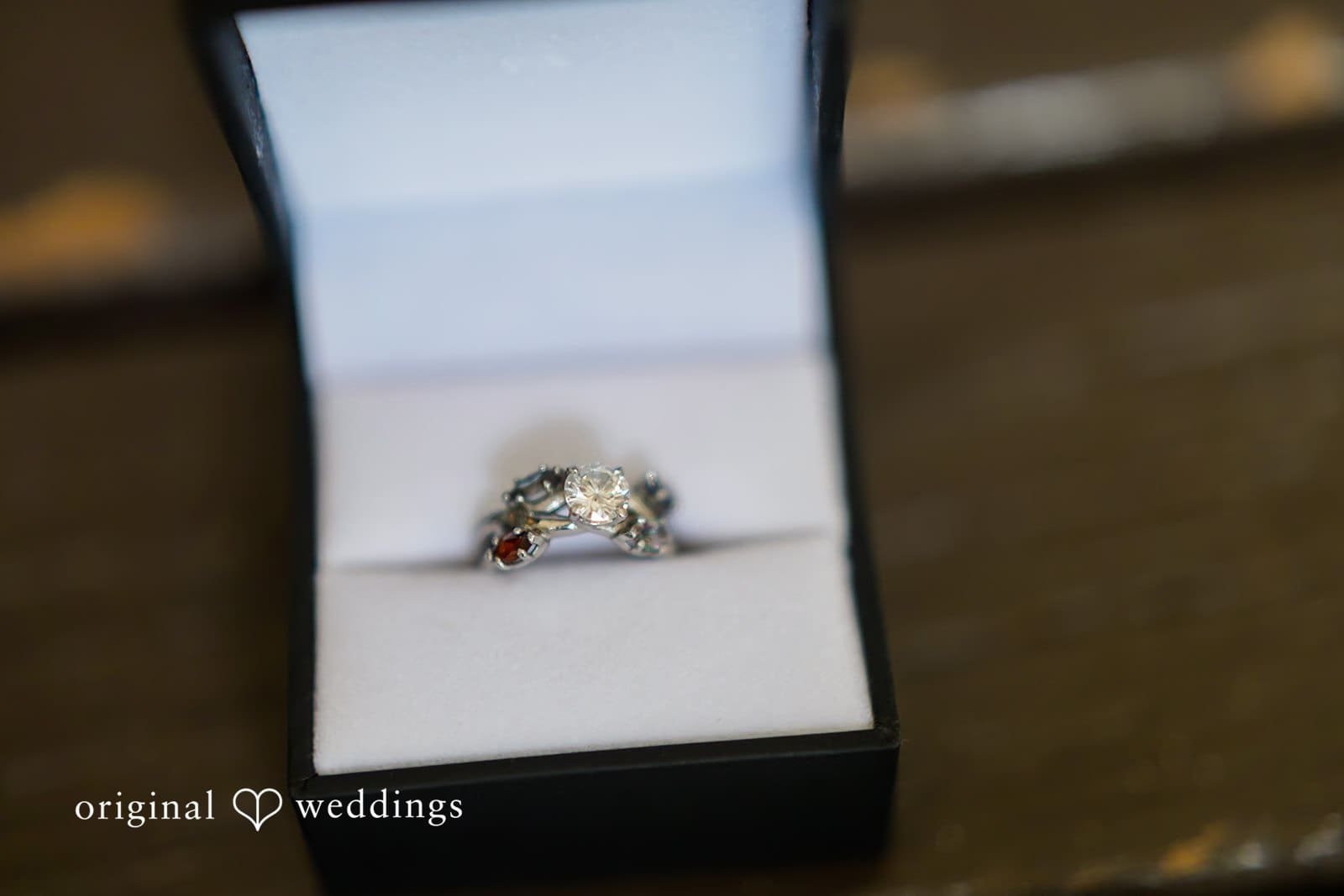 Orcutt Ranch Wedding // Eric & Savannah -