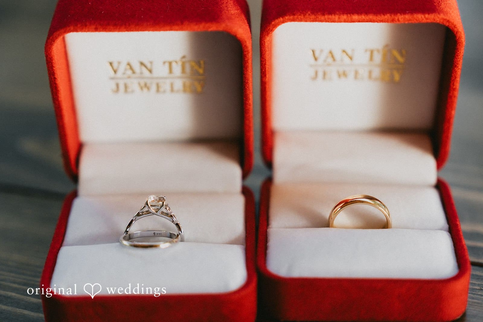Oregon Backyard Wedding // Declan & Holly -