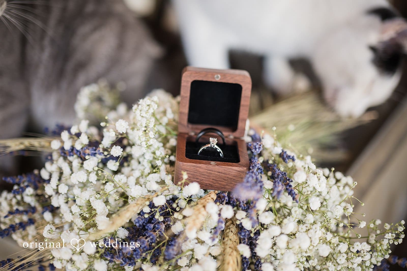 Oregon Backyard Wedding // Josie & Braden -