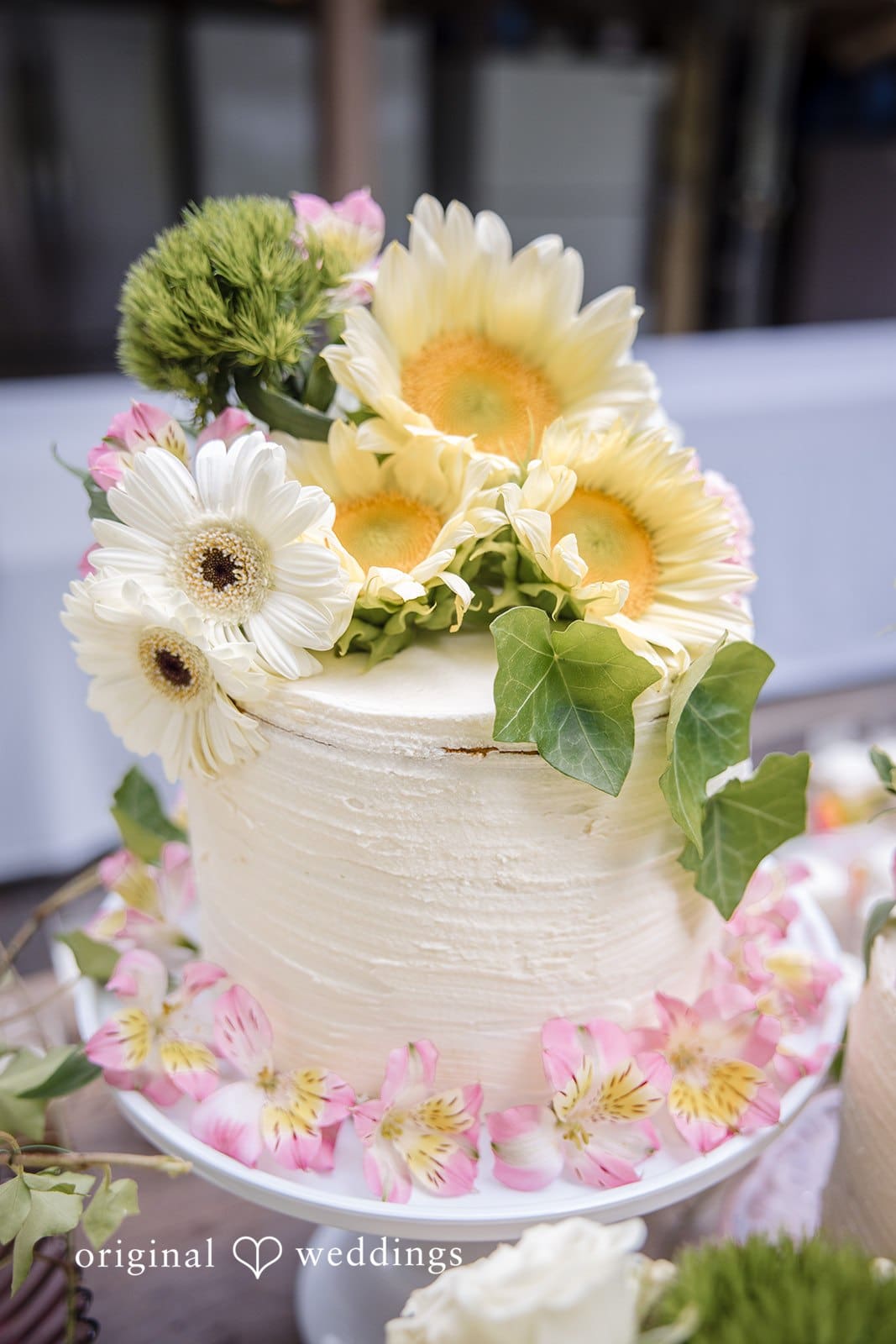 Oregon Backyard Wedding // Nicolette & Michael -