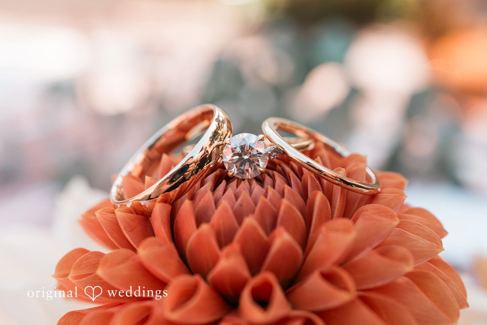 Pickering Barn Wedding // Chelsea & Kizz -