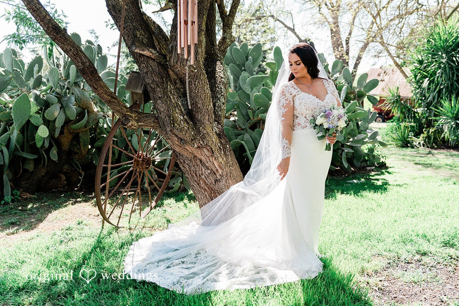 Reinstein Ranch Wedding // Montana & Scott -