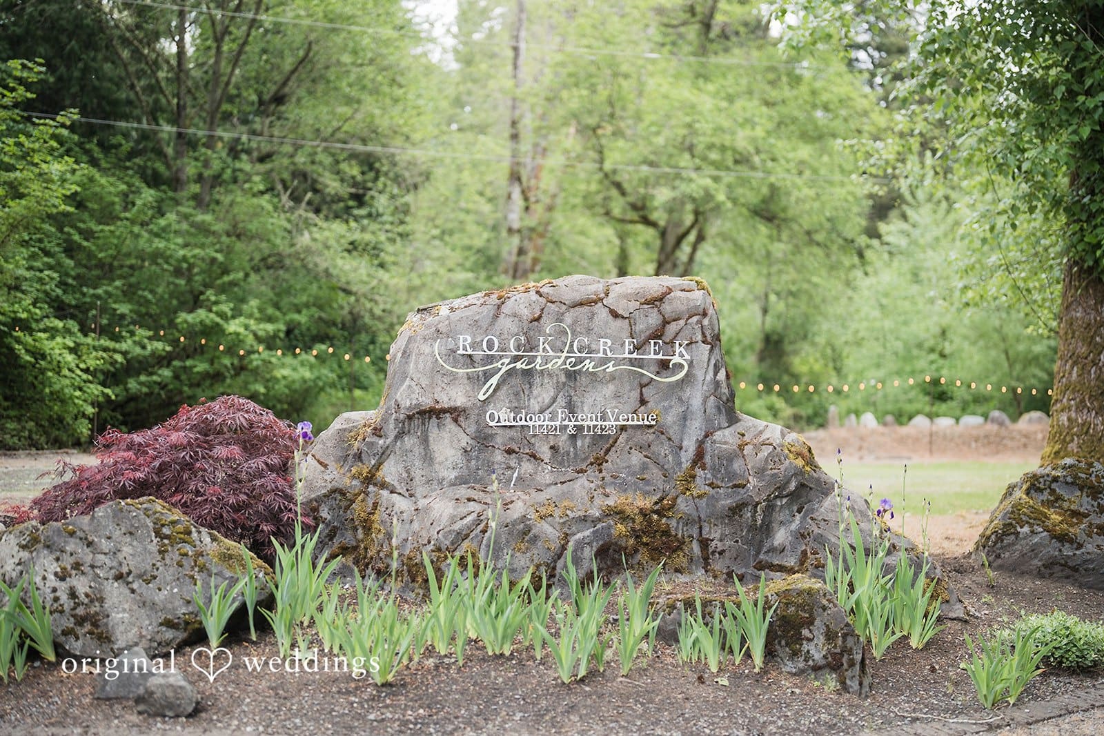 Rock Creek Gardens Wedding // Carolyn & Tyler -