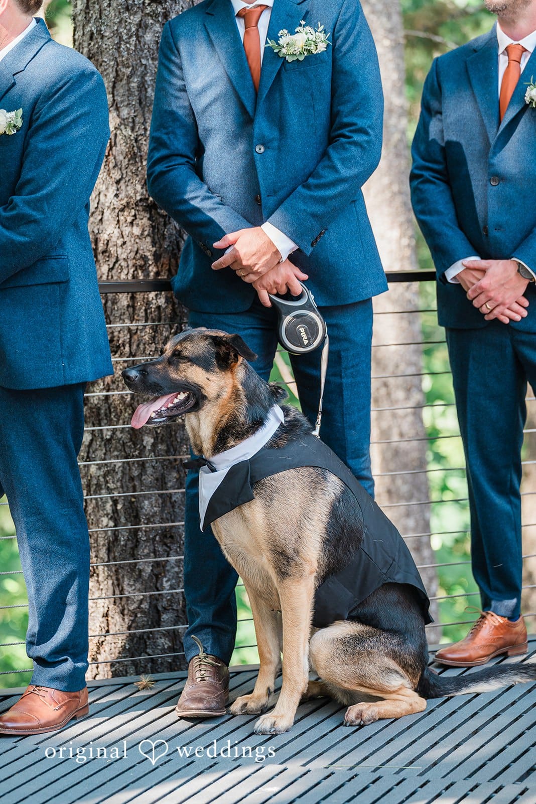 Rocky Hill Events Wedding //Adrienne & Jacob -
