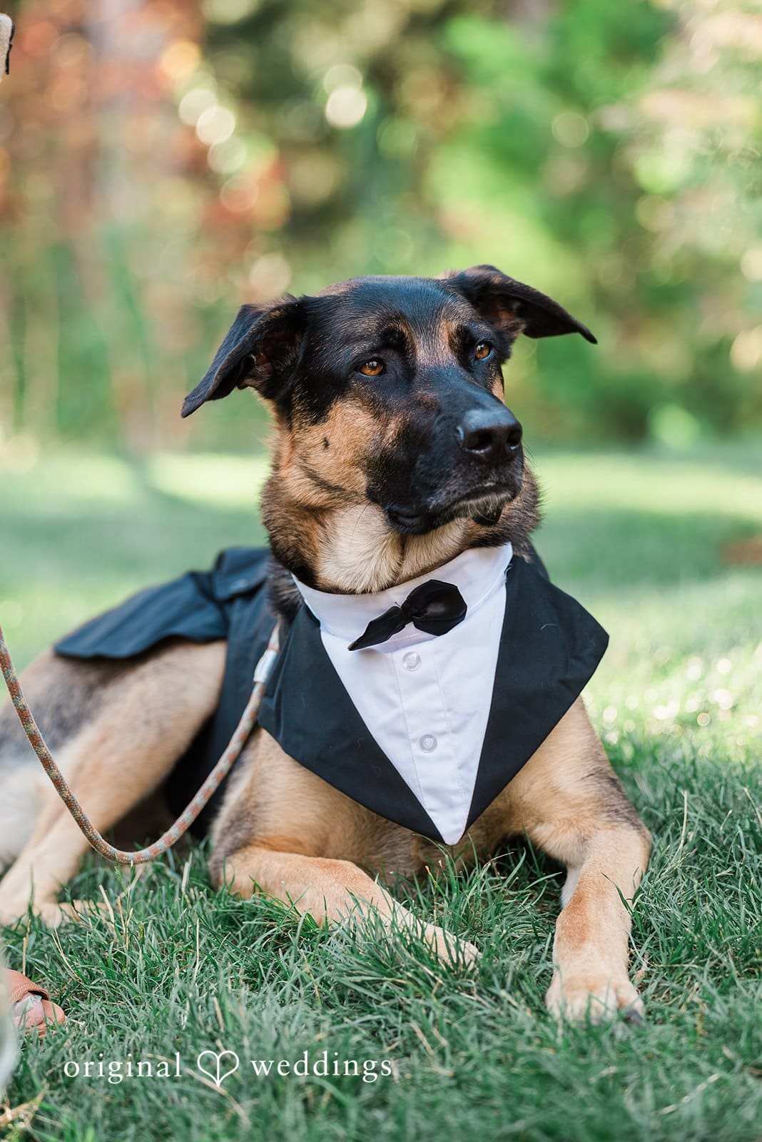 Rocky Hill Events Wedding //Adrienne & Jacob -