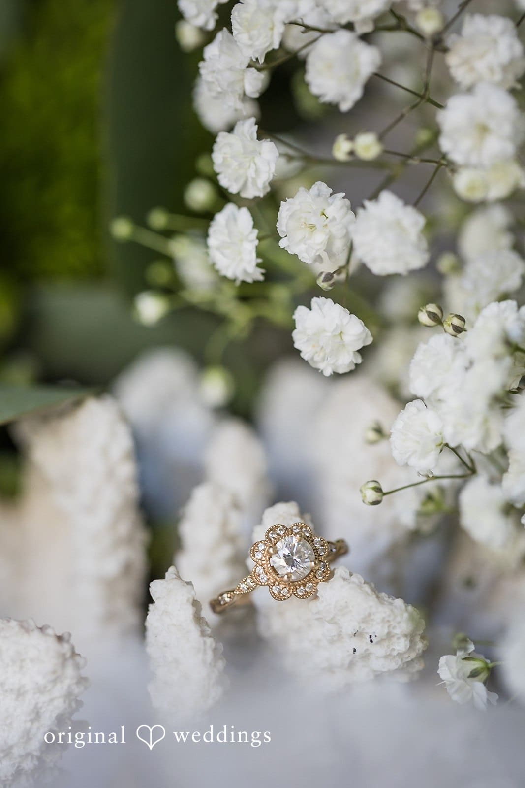 Seabrook Hospitality Wedding // Charlotte & Jacob -