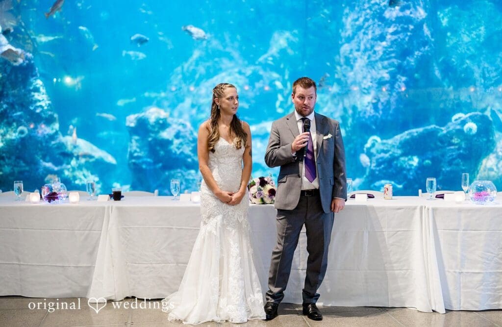 Seattle Aquarium Wedding // Danika & Nicholas -