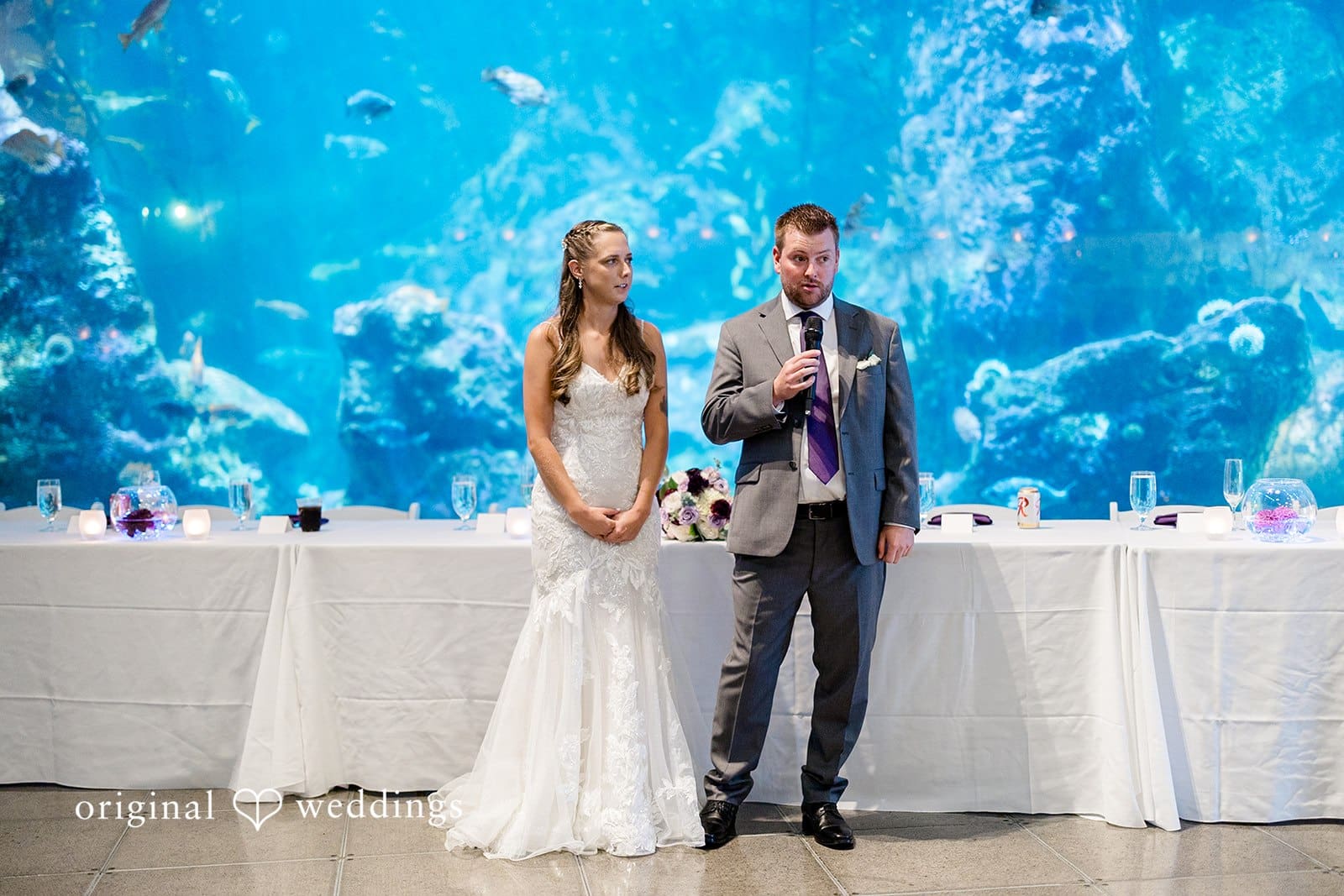 Seattle Aquarium Wedding // Danika & Nicholas -