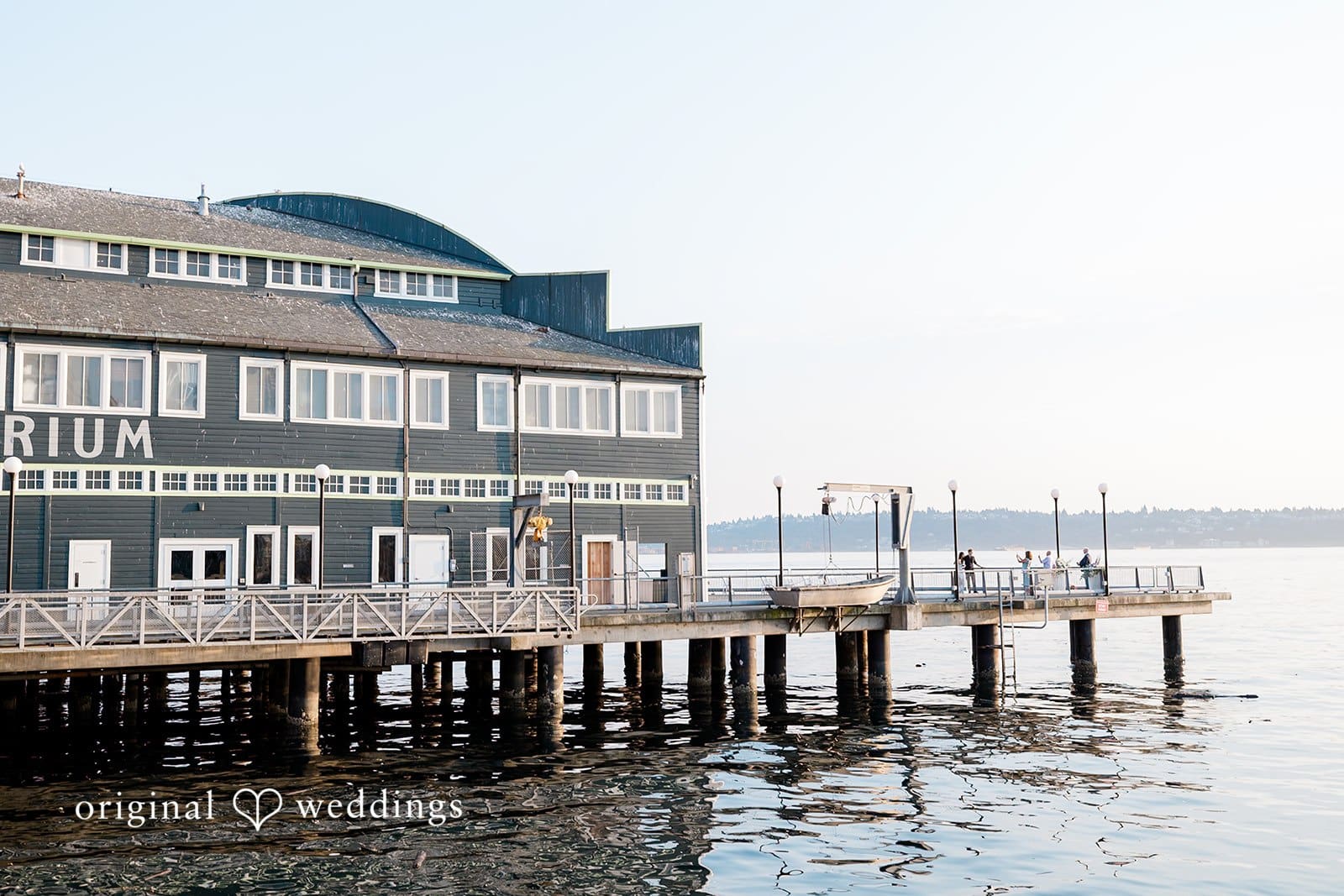 Seattle Aquarium Wedding // Danika & Nicholas -