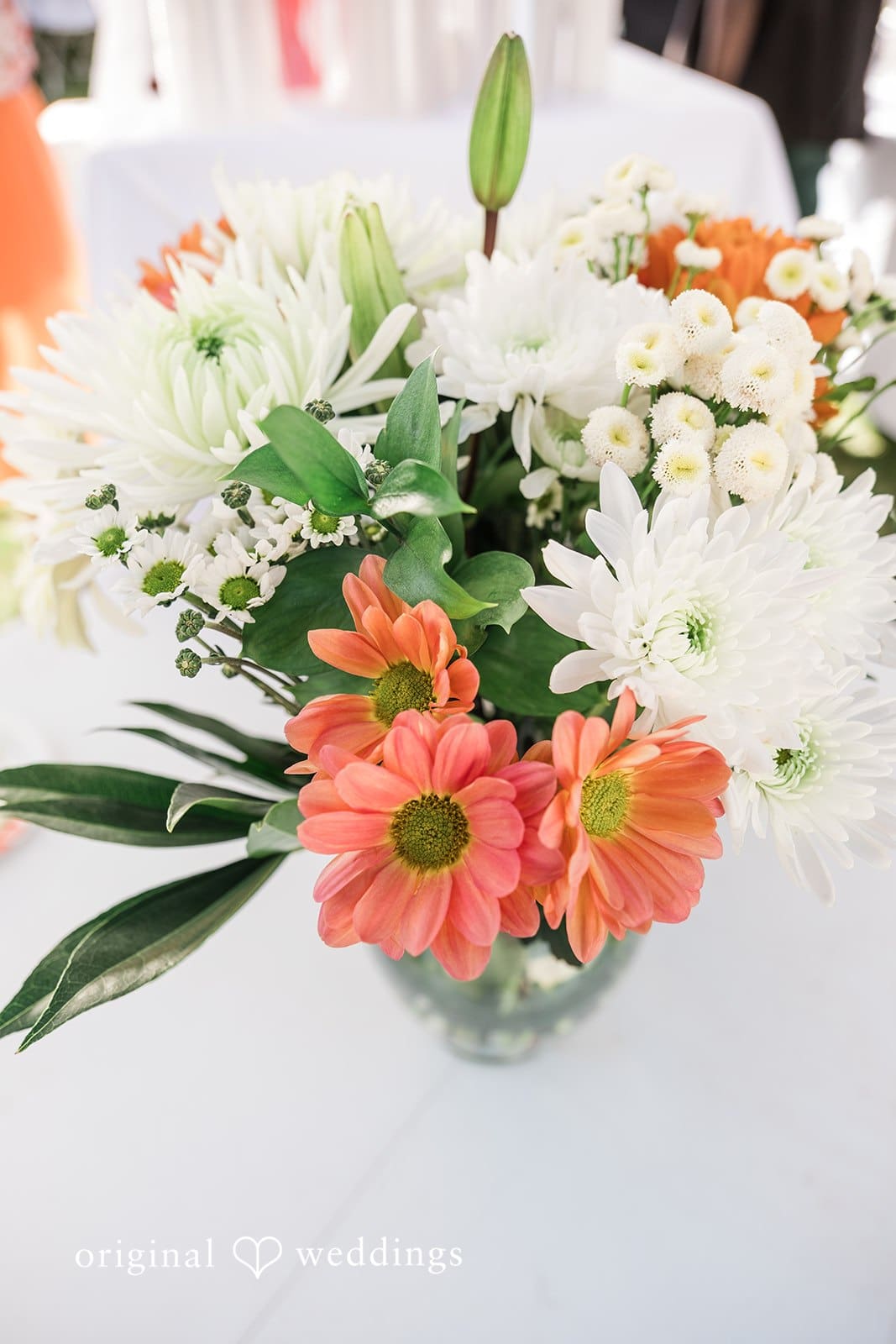 Serbian Social Hall Wedding // Brianna & Steven -