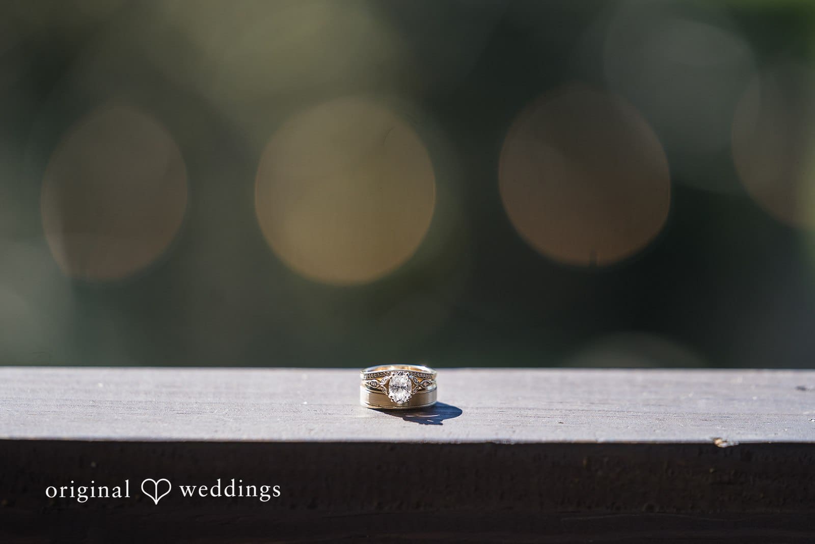 Shenandoah NP Jewell Hollow Overlook Wedding // John & Jesse -