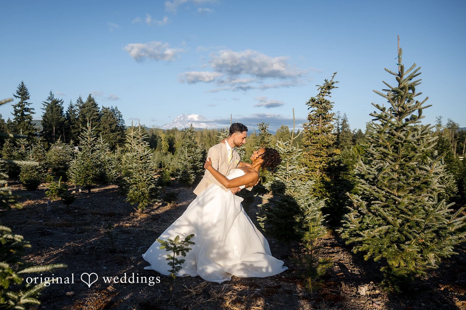 Shining Star Tree Farm Wedding // Katherine & Gavin -