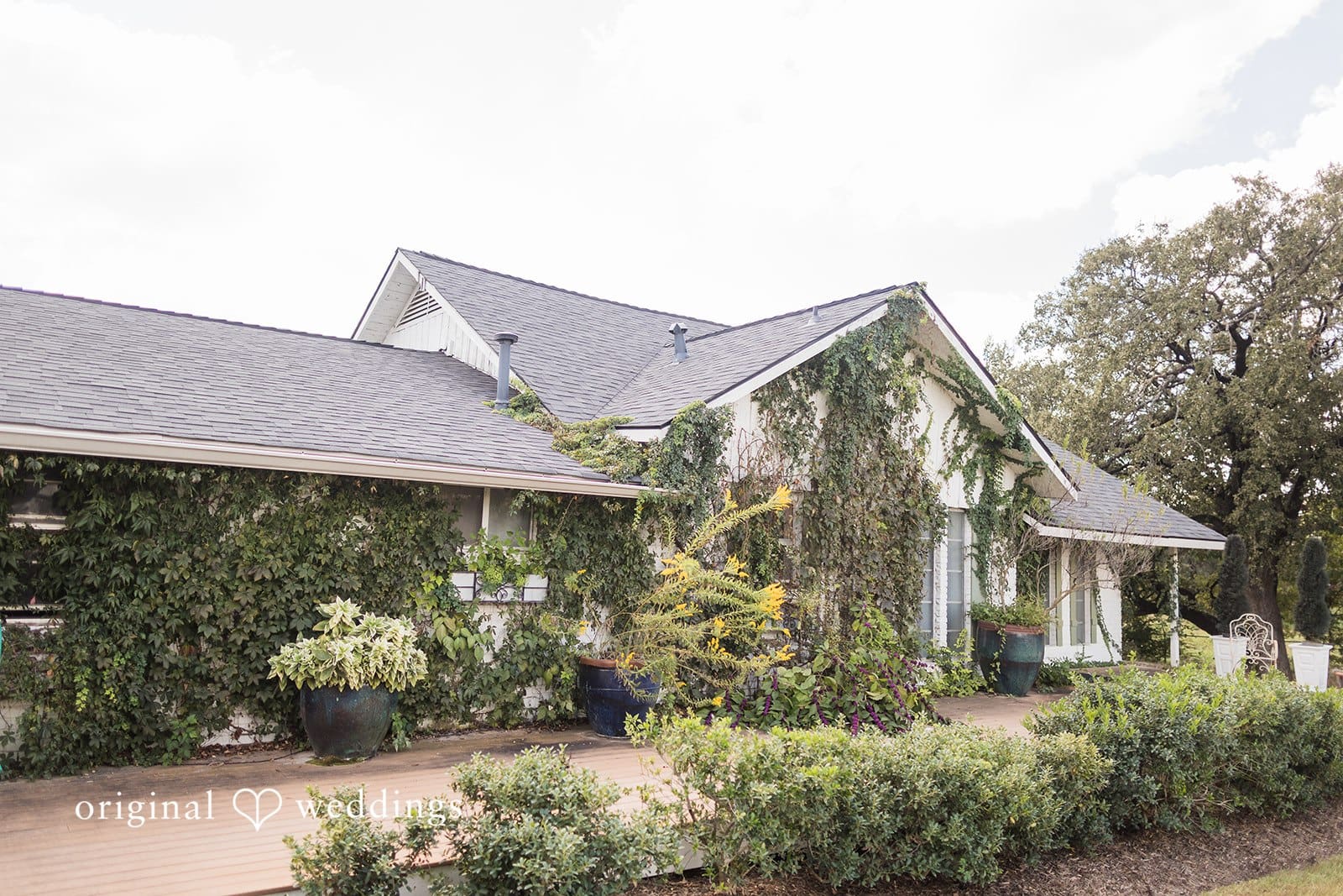 Stillwater Meadow Wedding // Anita & Jackson -