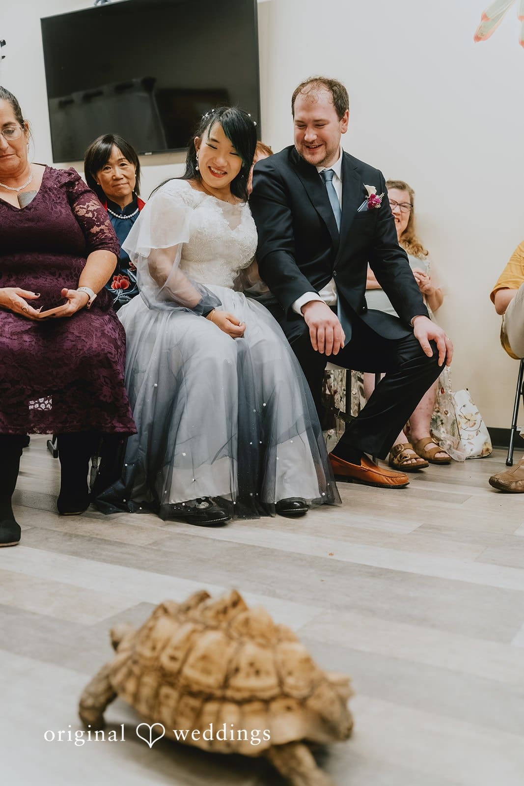 Stone Zoo Wedding // Corin & Gengyi -