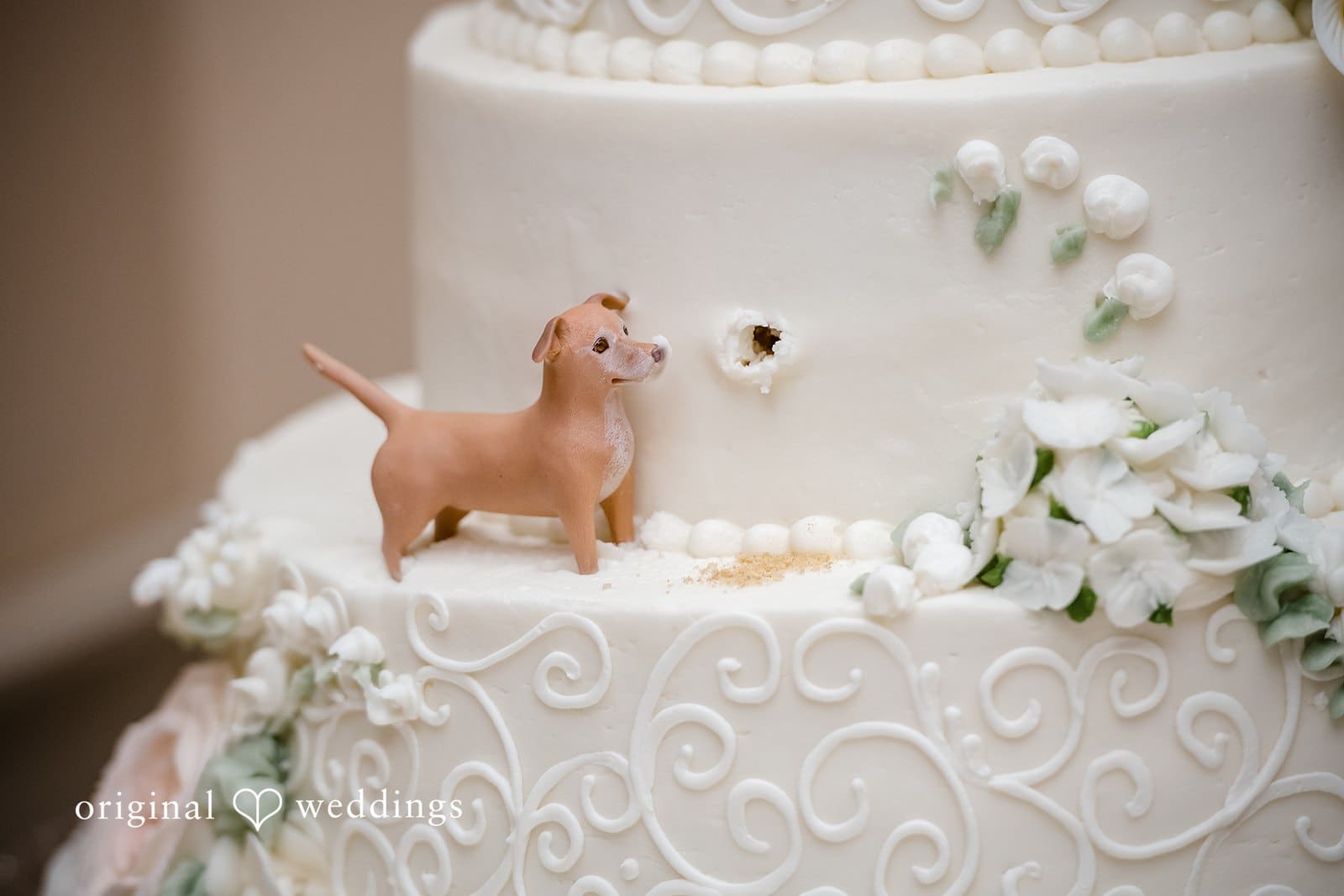 Talamore Country Club Wedding // Nikki & Rohan -