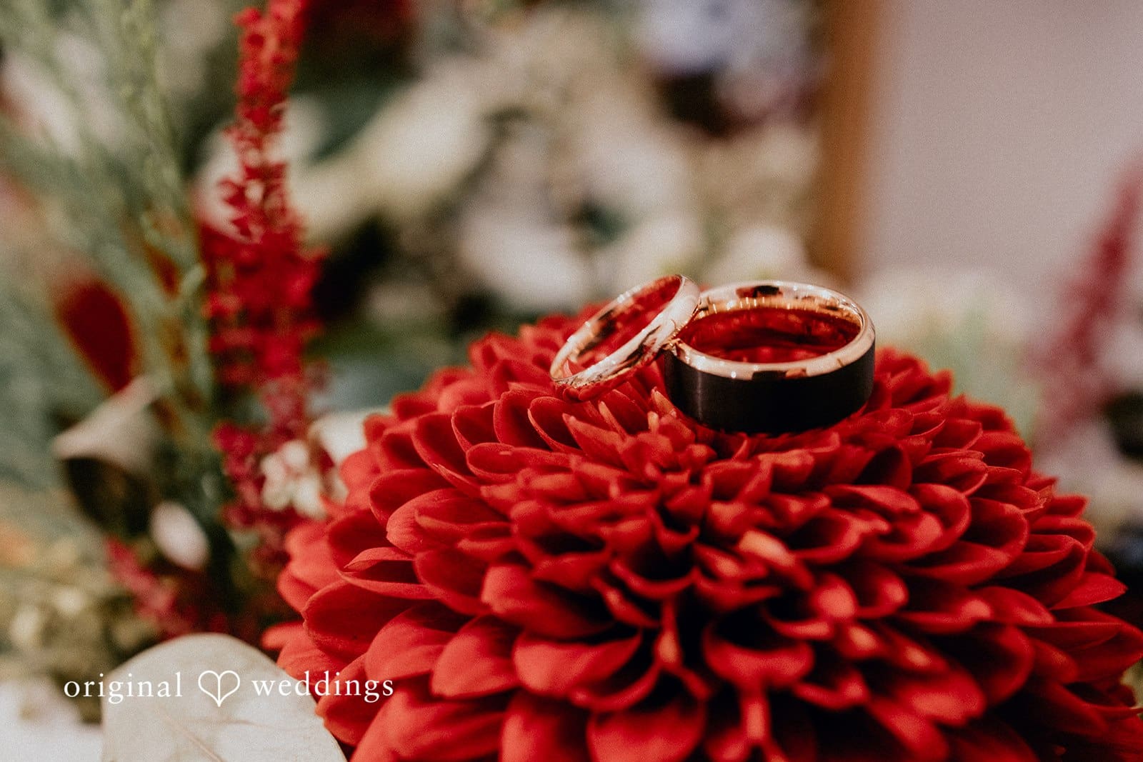 Tall Oaks Kirtland Wedding // Olivia & Andrew -
