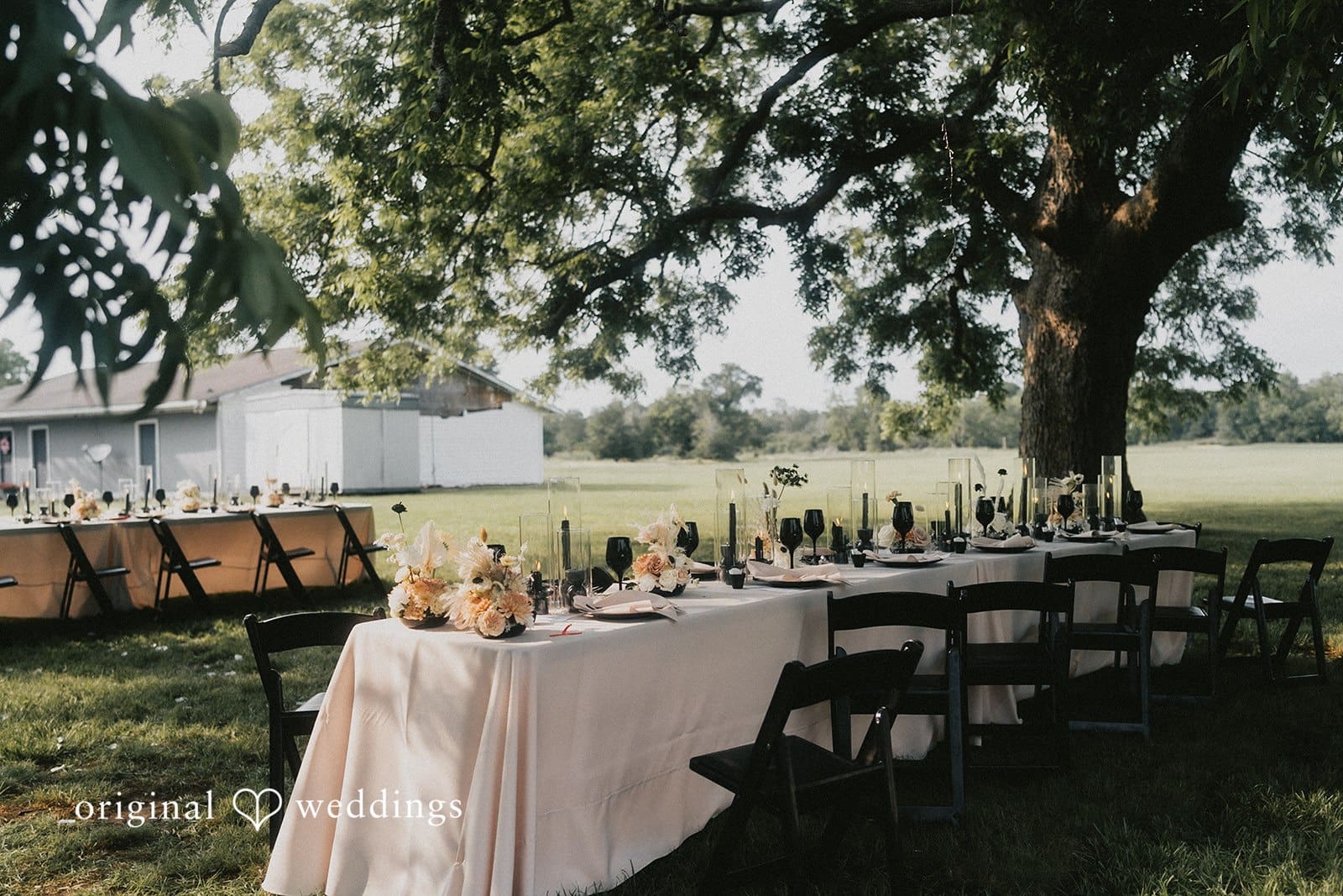 Texas Backyard Wedding // Christina & Ricky -