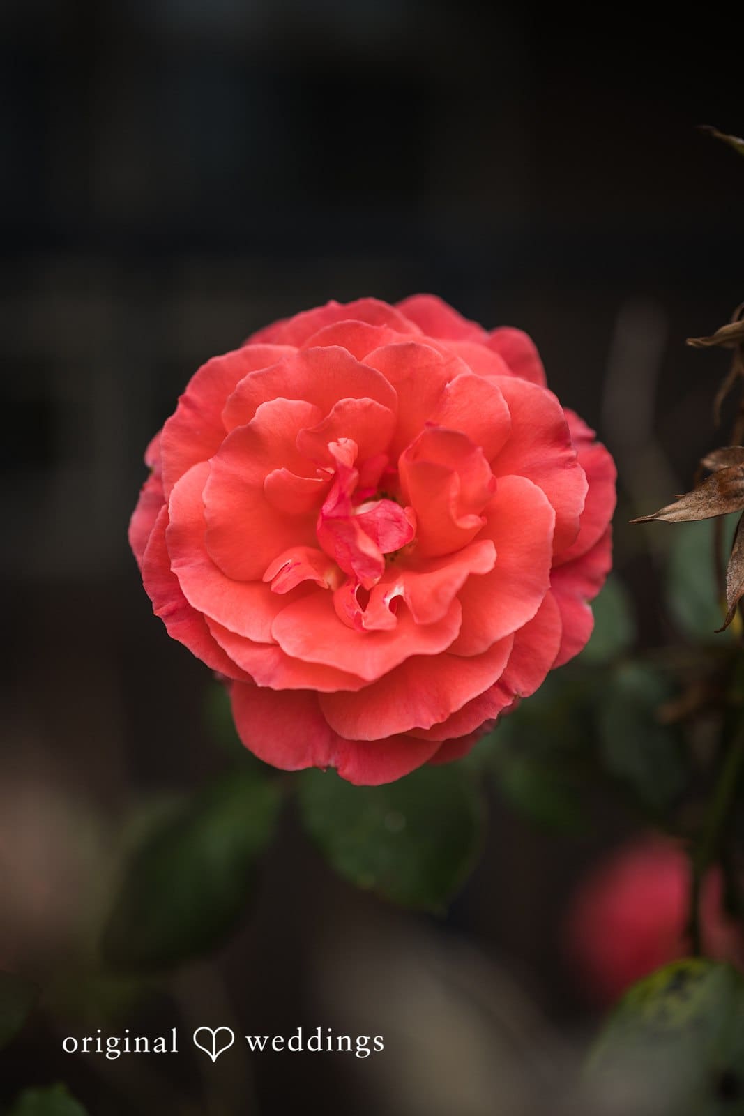 The Empress Estate Wedding // Trese & Marcus -