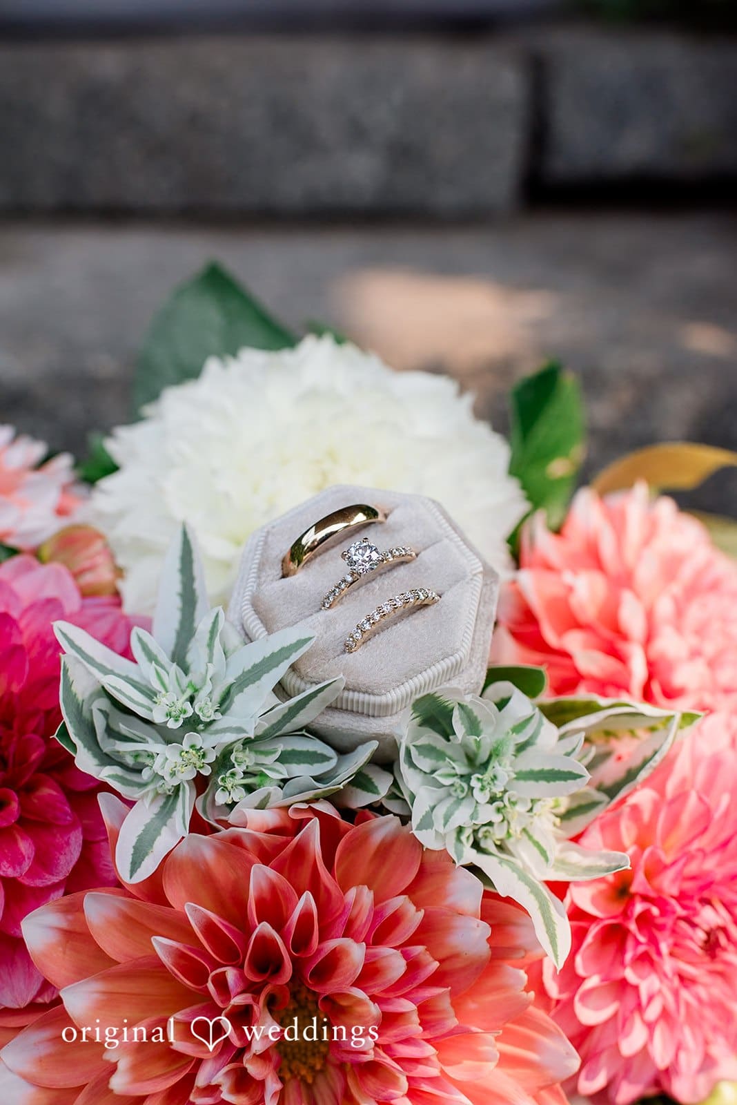 The Grand Willow Wedding // April & Will -