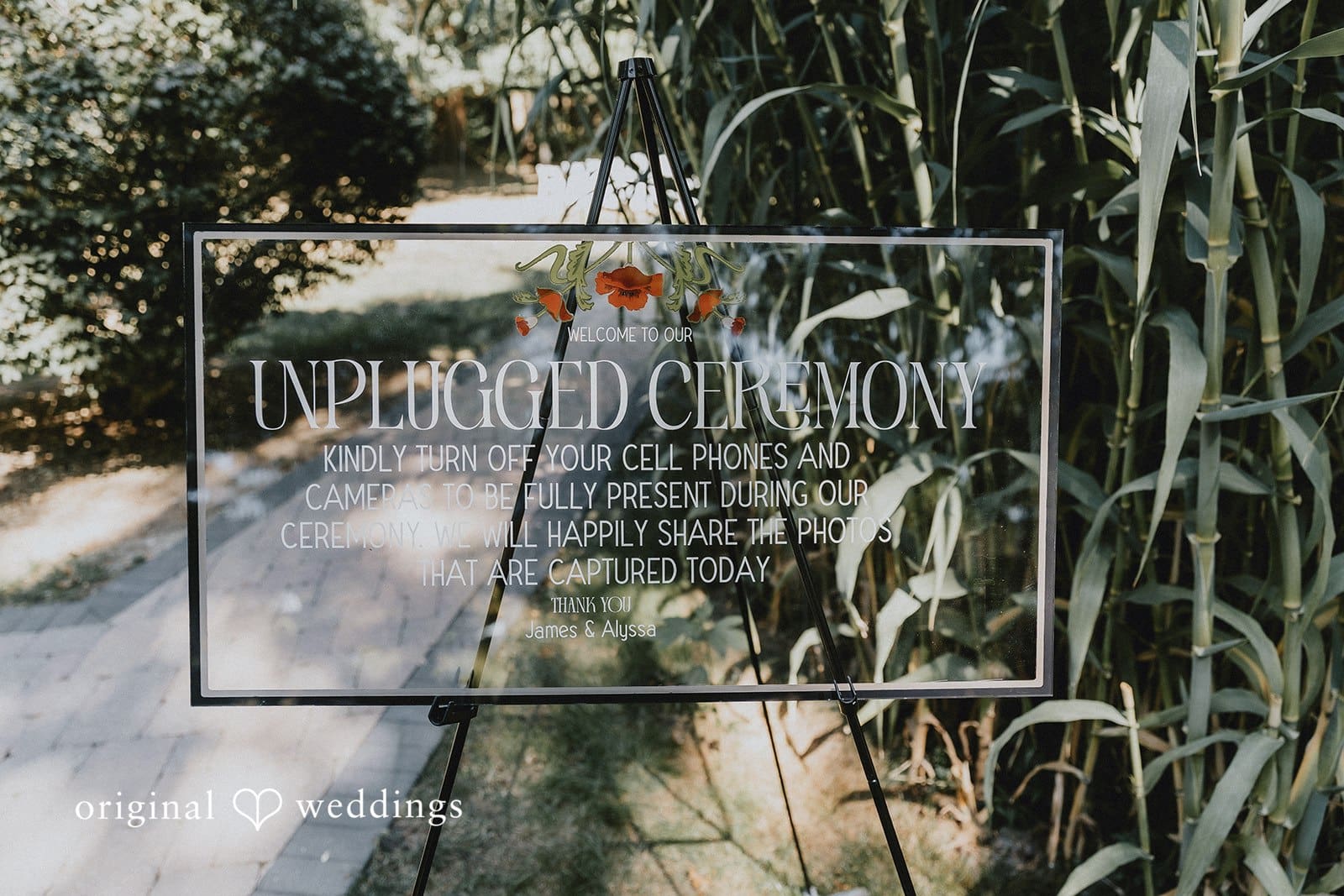 The Mohicans Treehouse Resort Wedding // Alyssa & James -