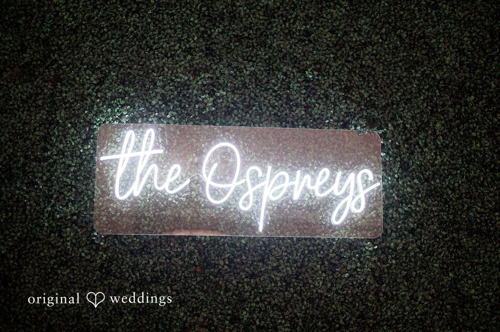 The Osprey’s at Belmont Bay Wedding // Rebecca & Joshua -