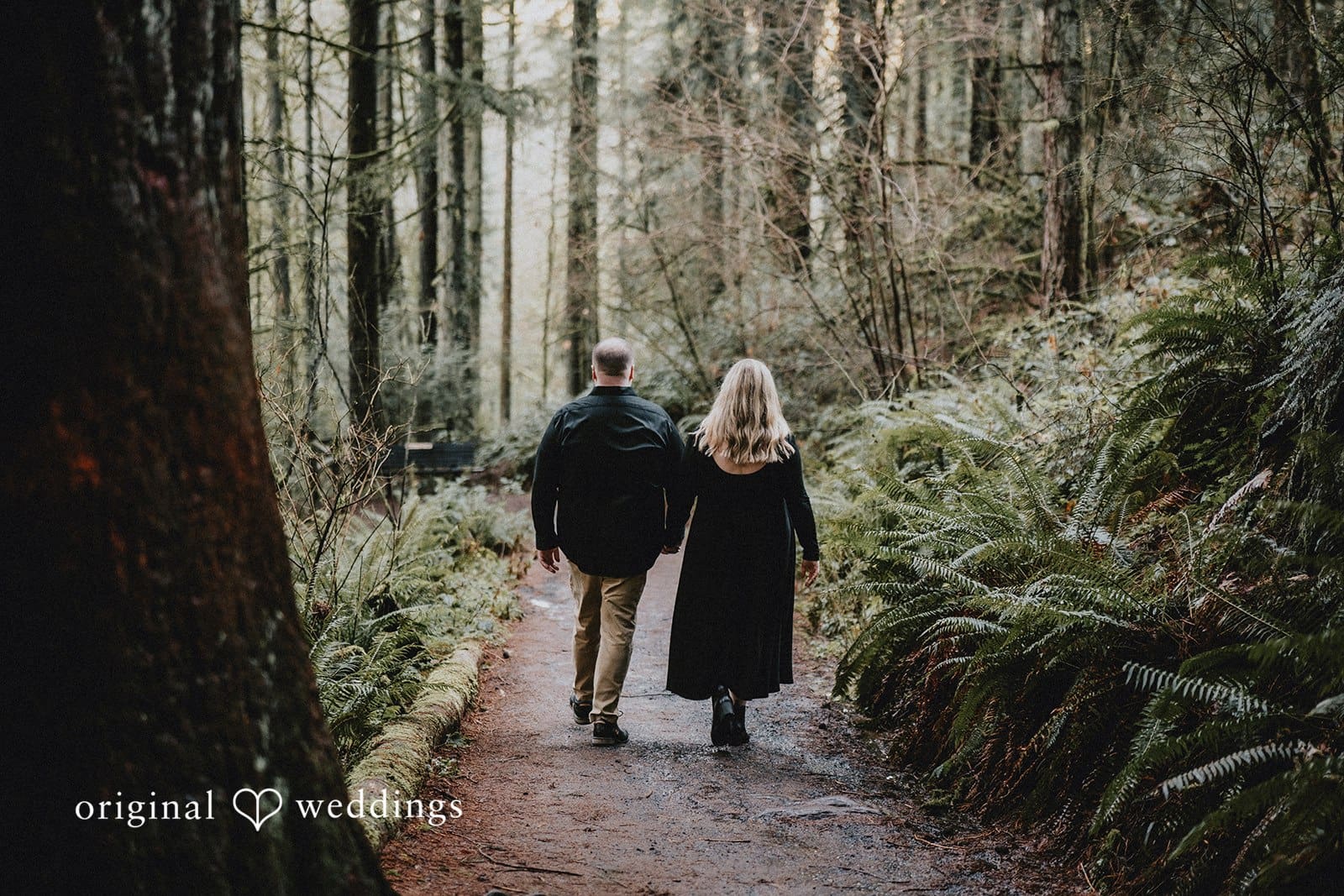 Redwood Observation Deck Engagement // Lauren & Douglas -