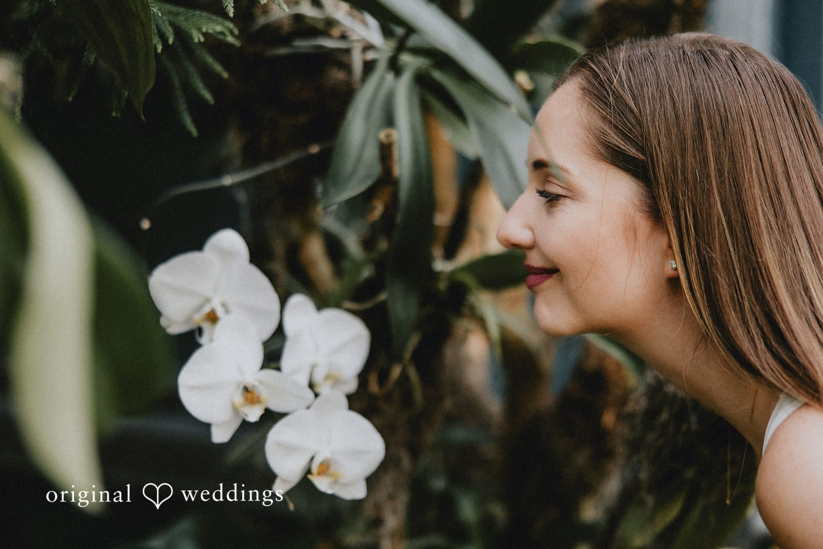 The Roger Williams Botanical Garden Engagement // Chelsea & Karl -