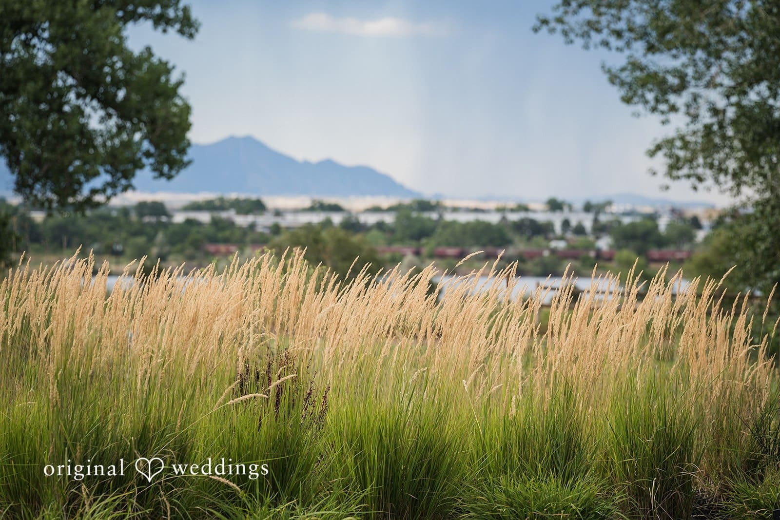The Vista at Applewood Golf Course Wedding // Nicolas & Carly -