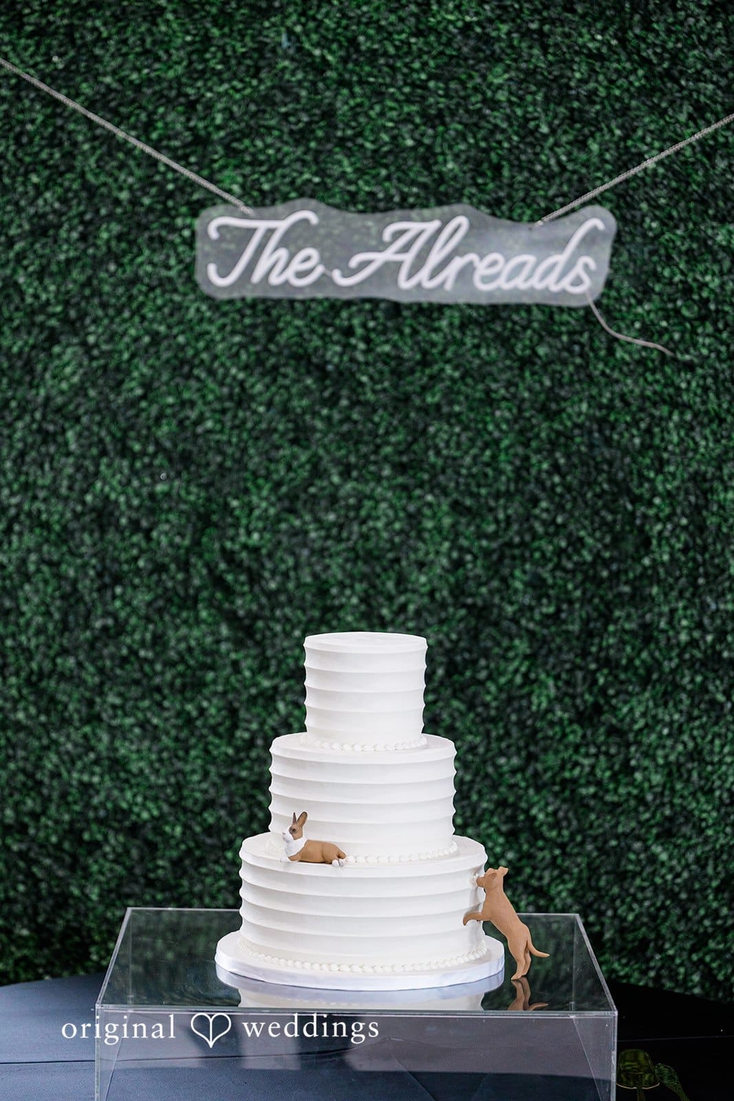 The Waters Edge Wedding // Devjani & Willam -