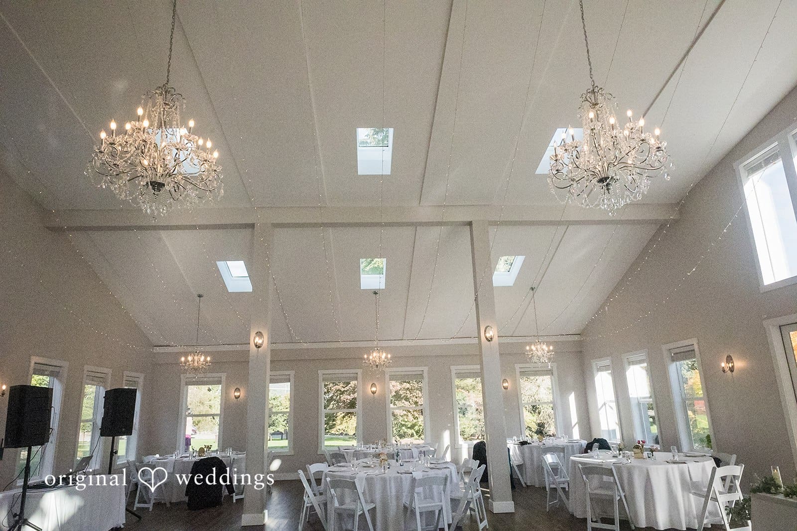 Trinity Tree Farm Wedding // Haley & Wyatt -