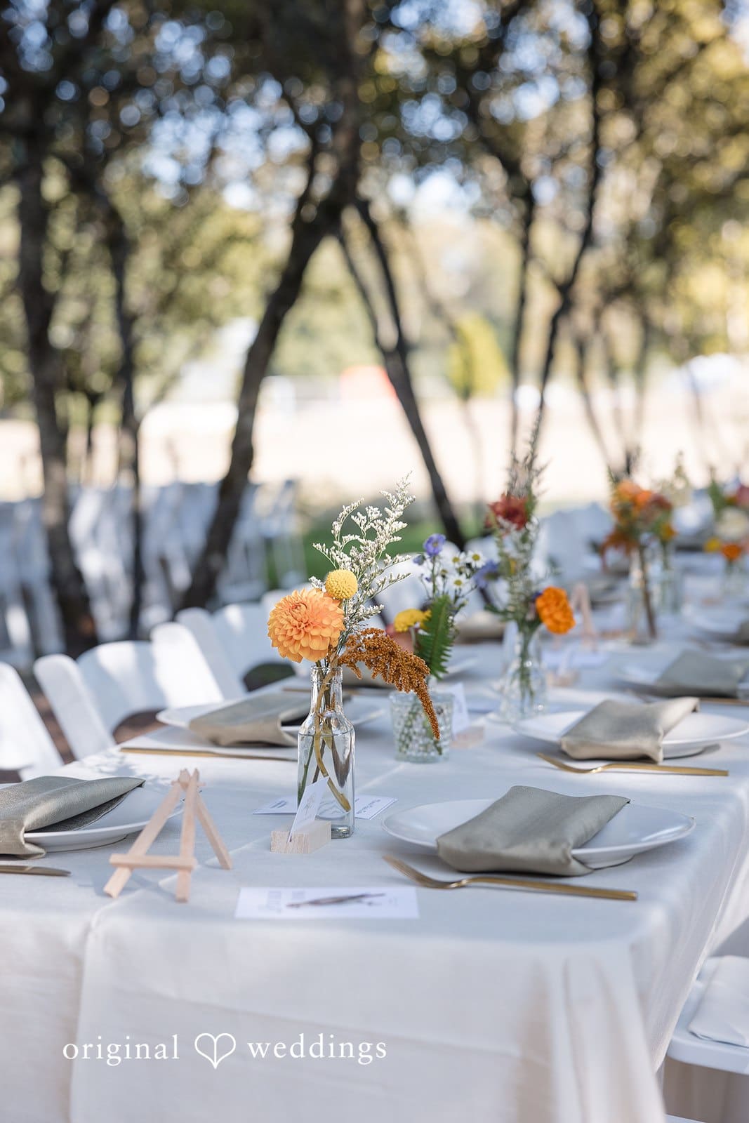 UW Center for Urban Horticulture Wedding // Grace & Zach -
