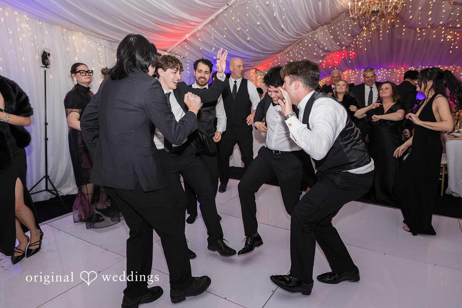 Washington, DC Backyard Wedding // Ducky & Ryan -