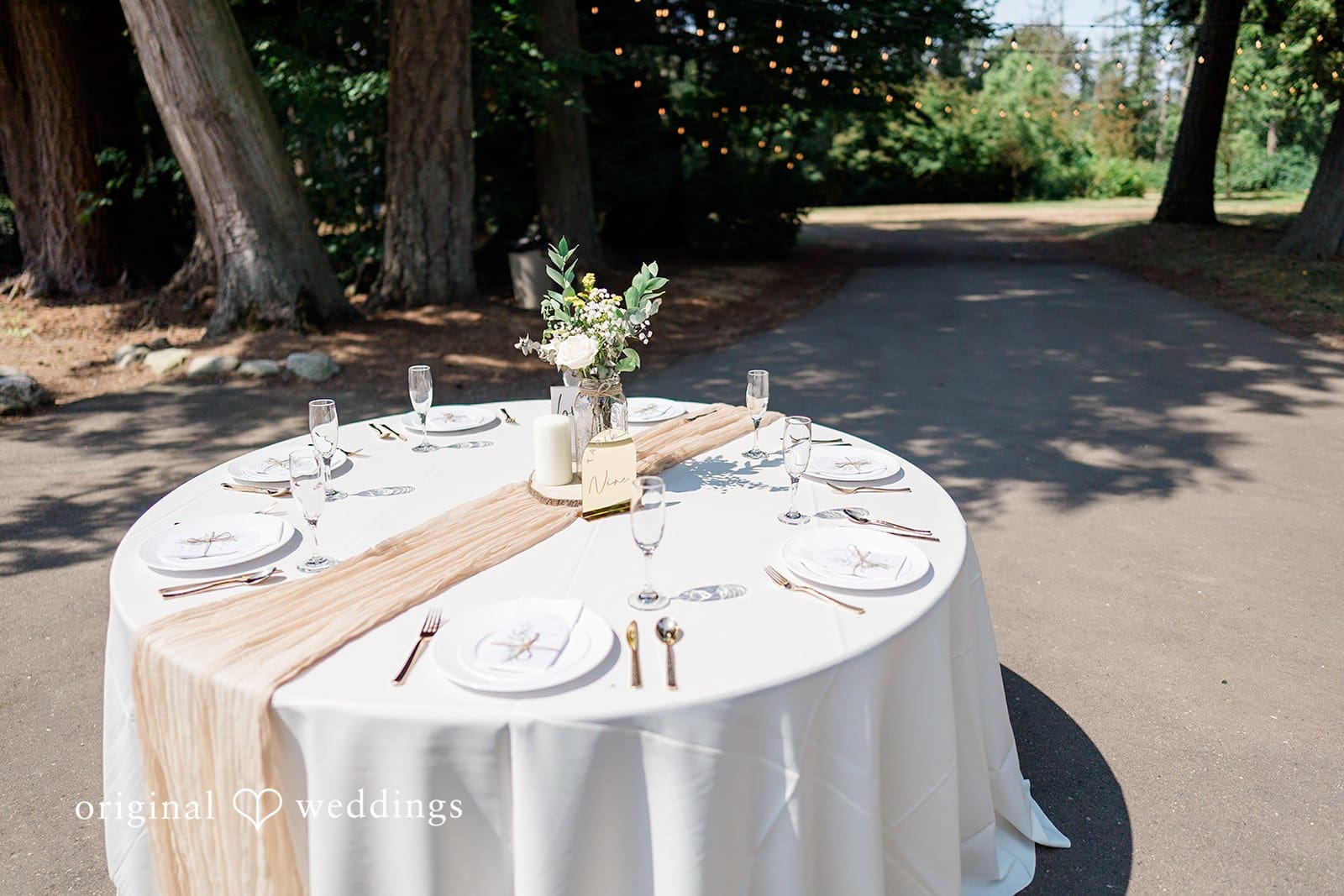 Washington Backyard Wedding // Karsyn & Joseph -