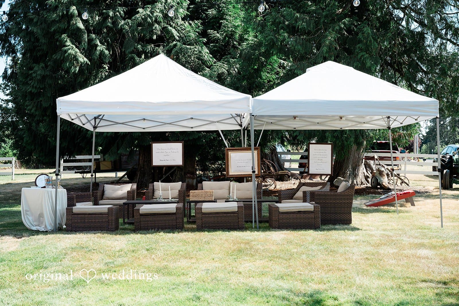 Washington Backyard Wedding // Madeleine & Jason -