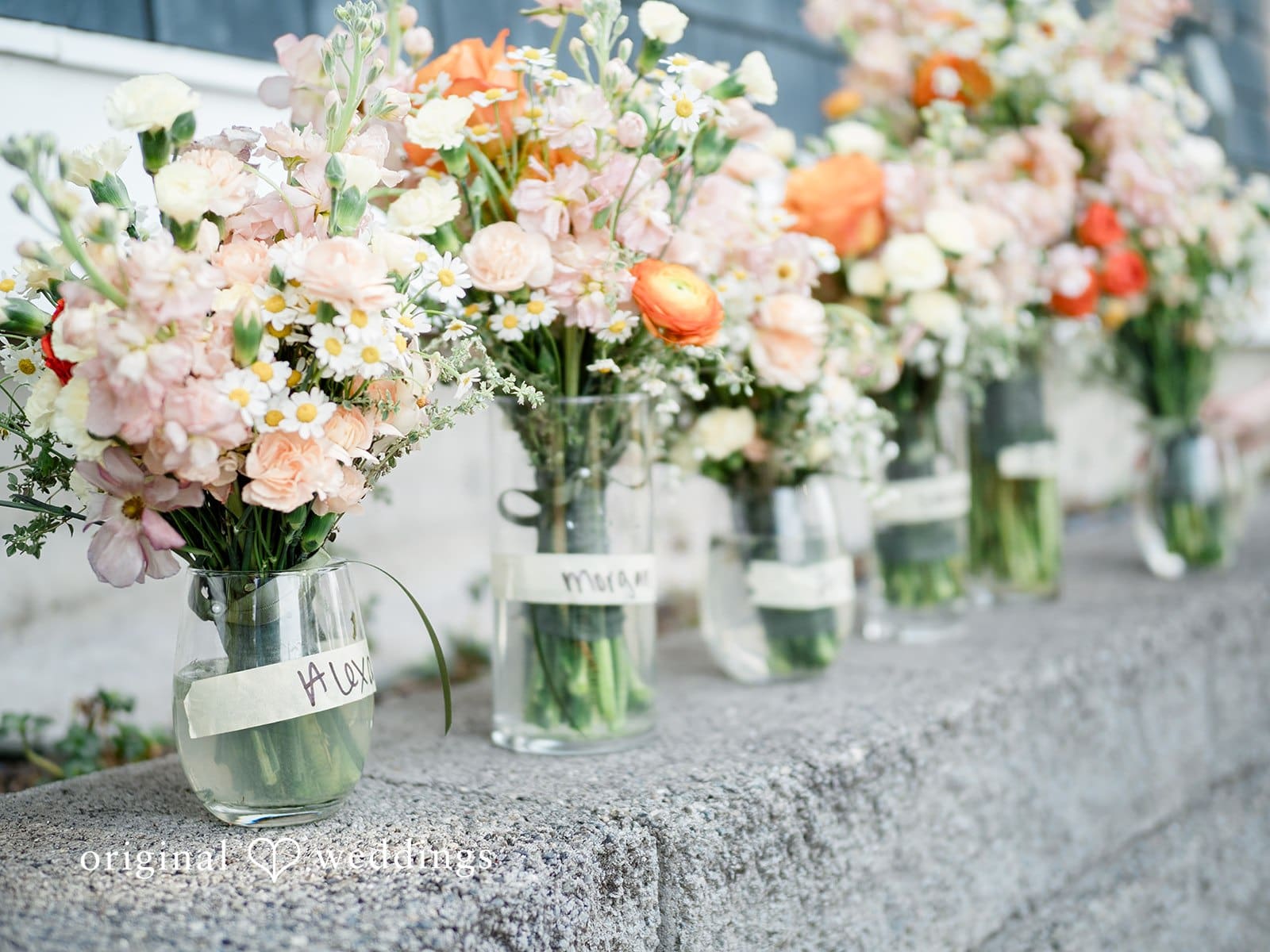Washington Backyard Wedding // Madeleine & Jason -