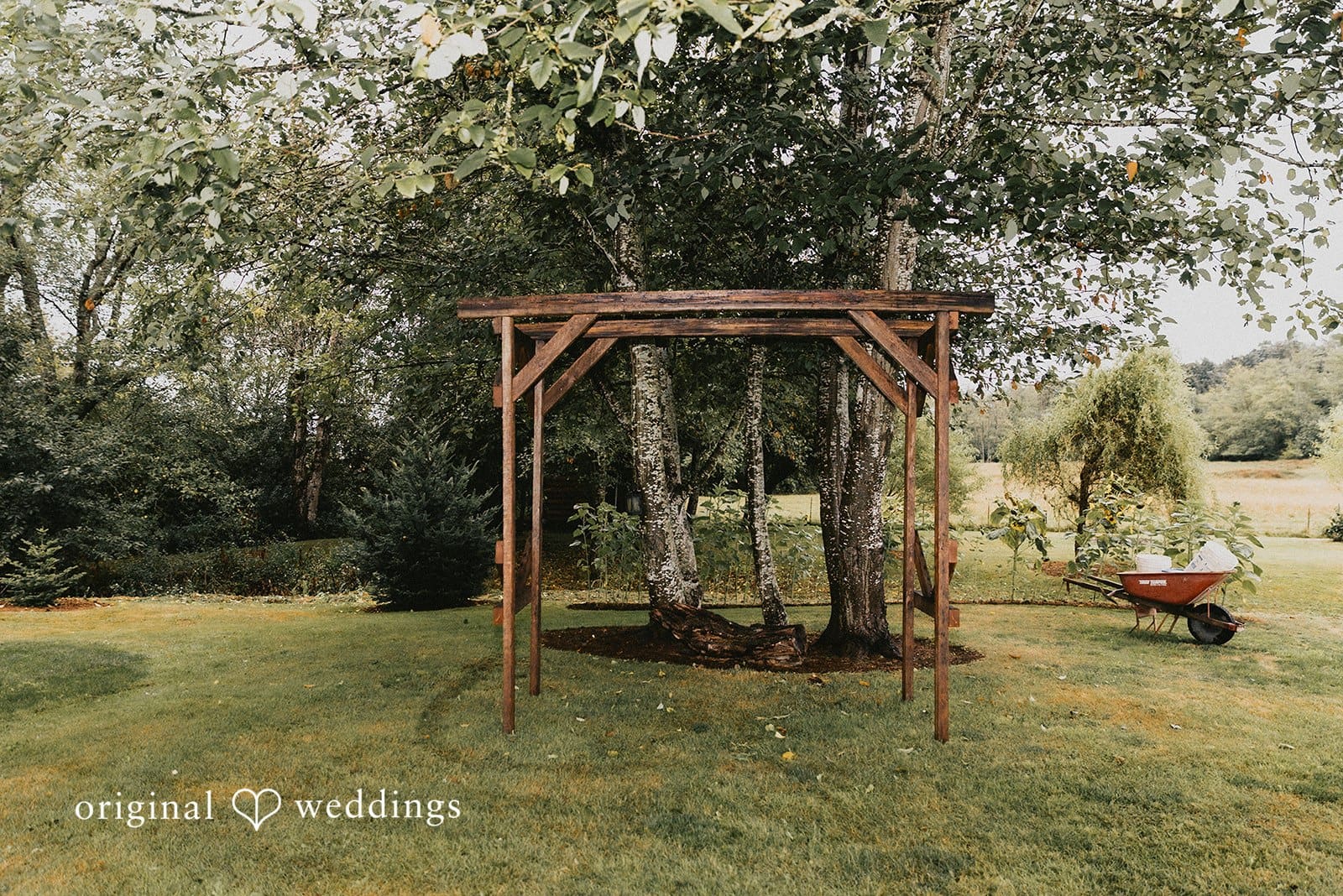 Washington Backyard Wedding // Olivia & Reid -