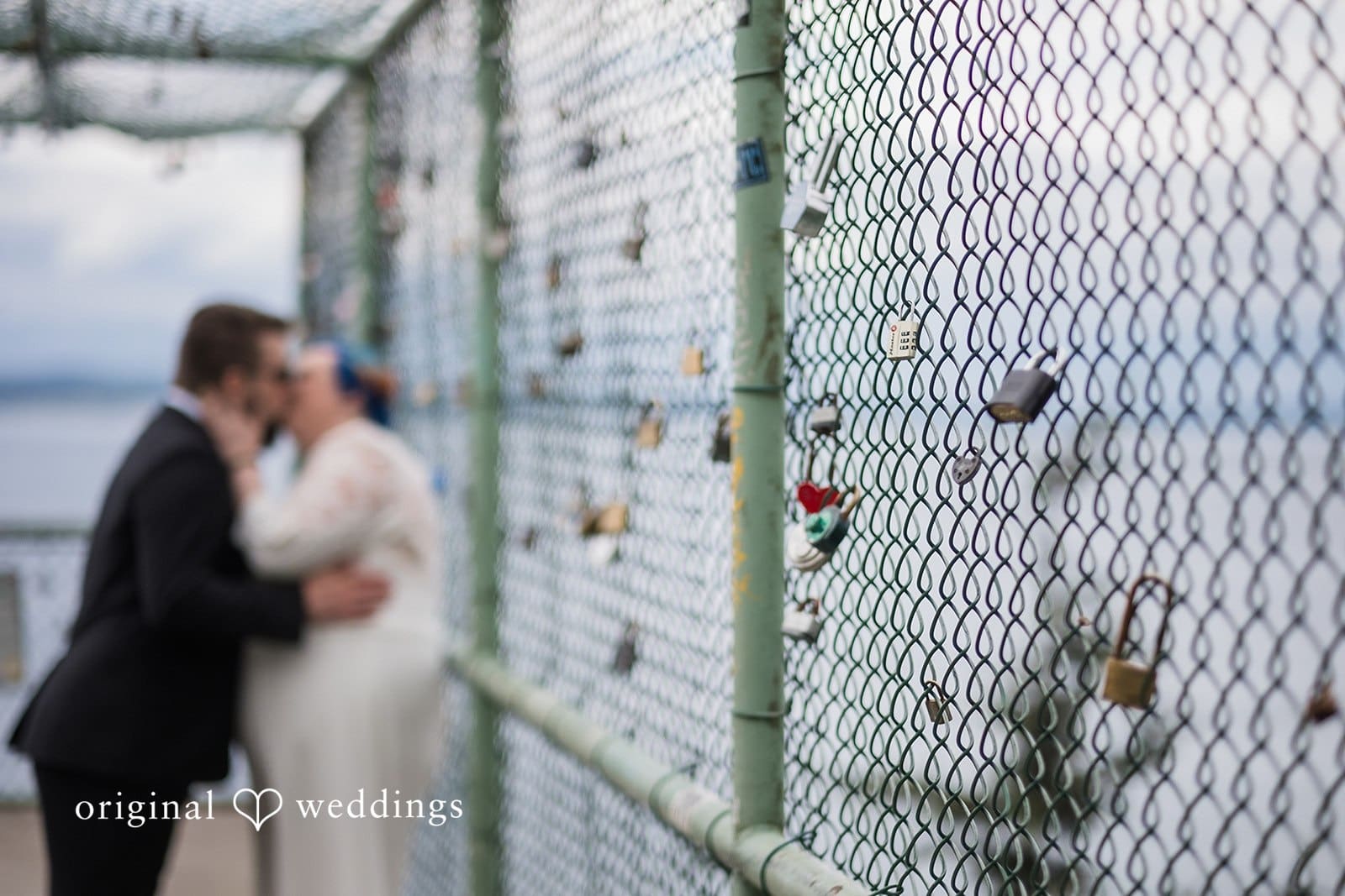 Washington Backyard Wedding // David & Avida -